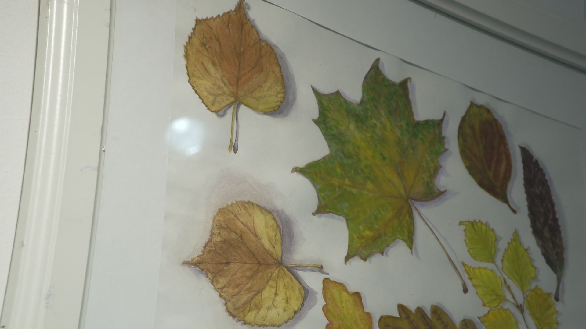 Реутов, музей, выставка, Активное долголетие, картины,