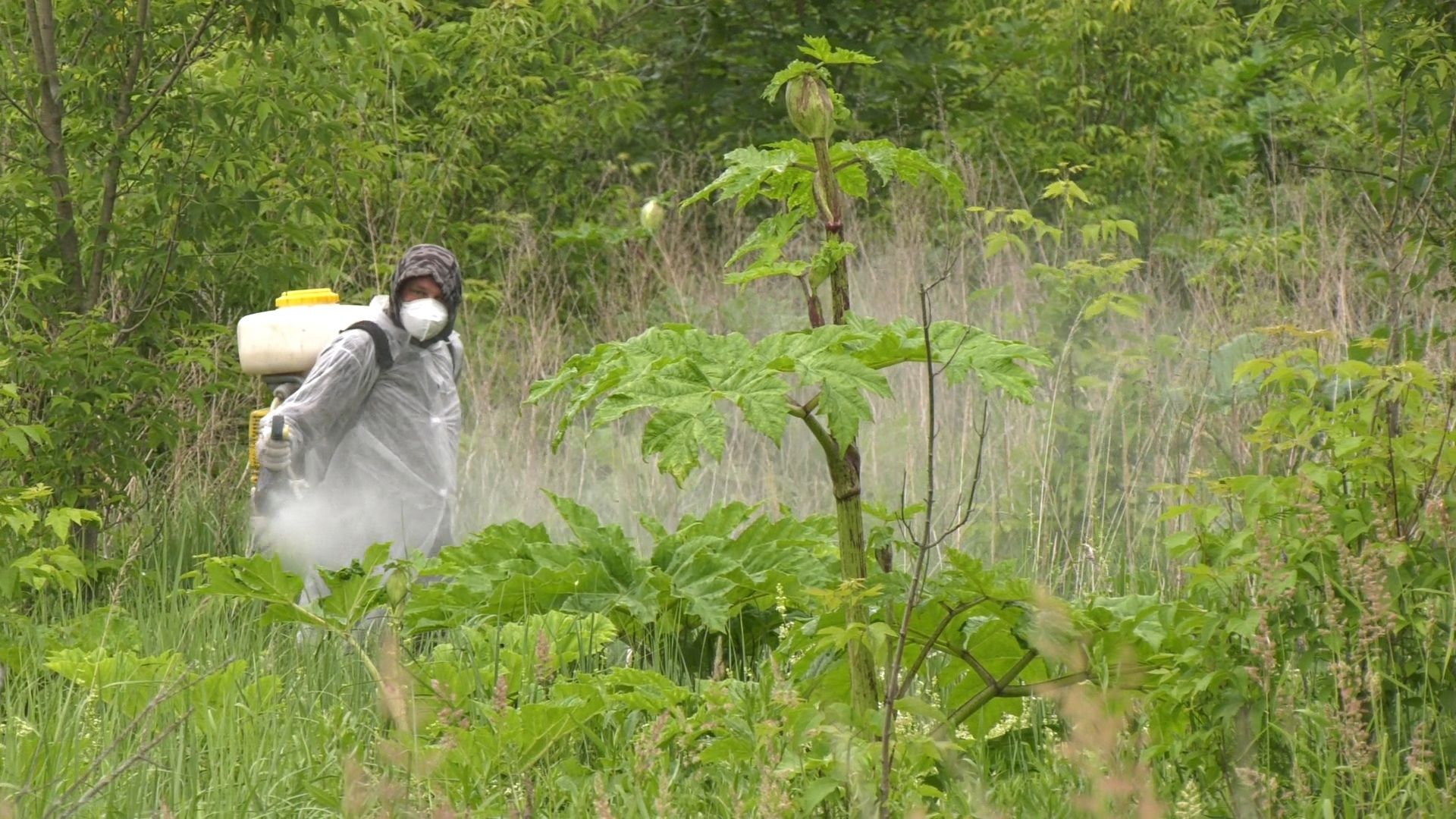 Егорьевск, Подмосковье, Московская область,