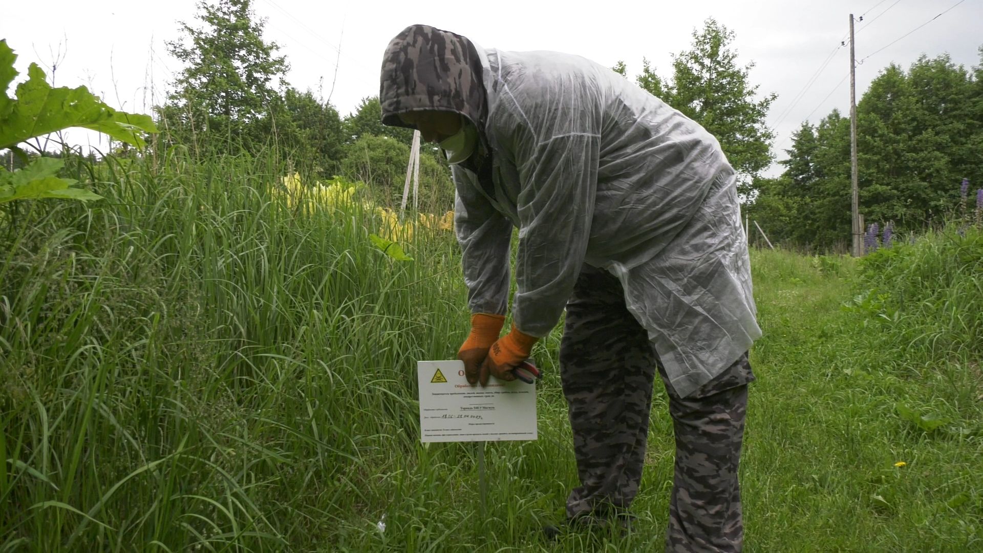 Егорьевск, Подмосковье, Московская область,