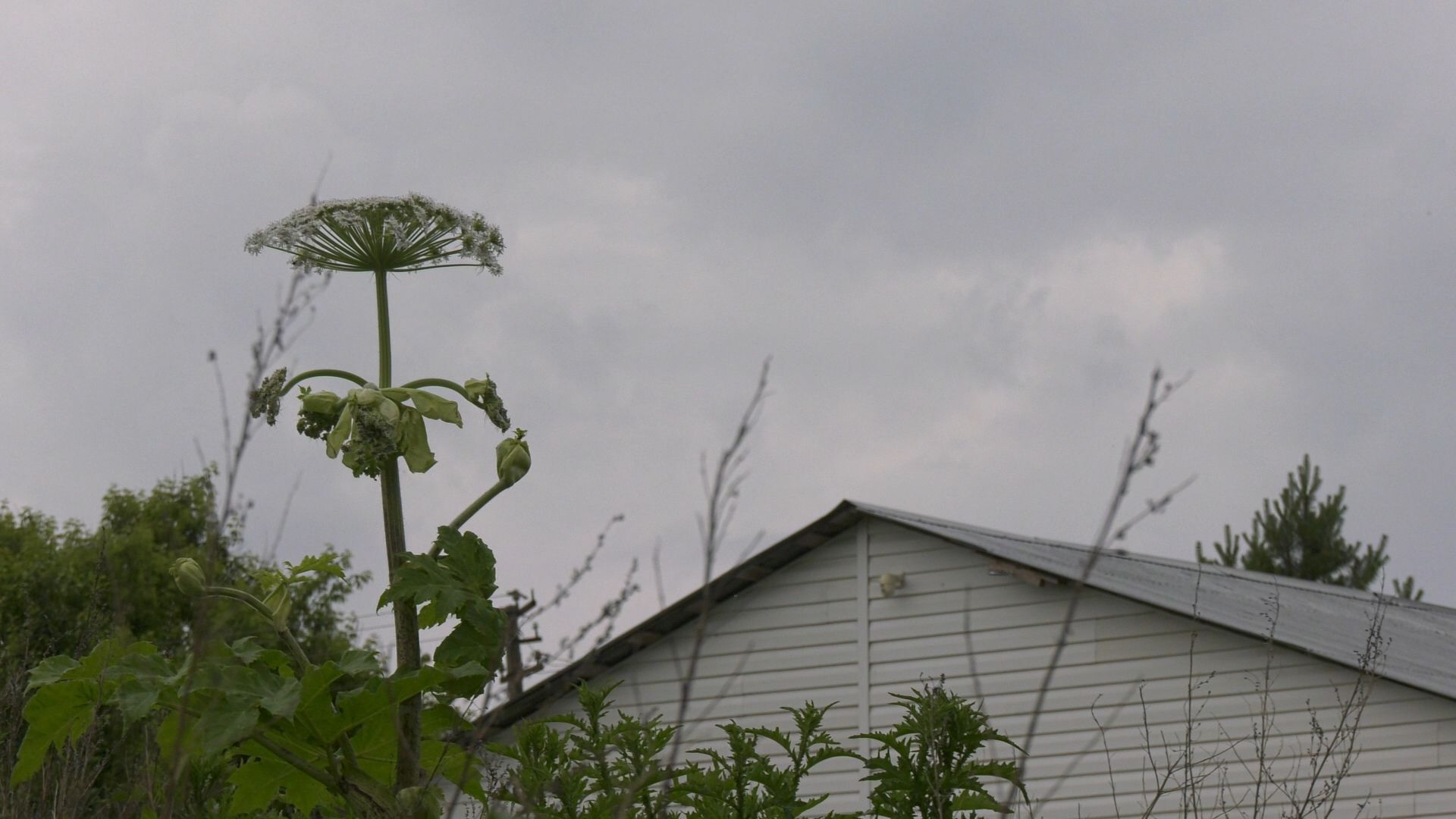 Егорьевск, Подмосковье, Московская область,