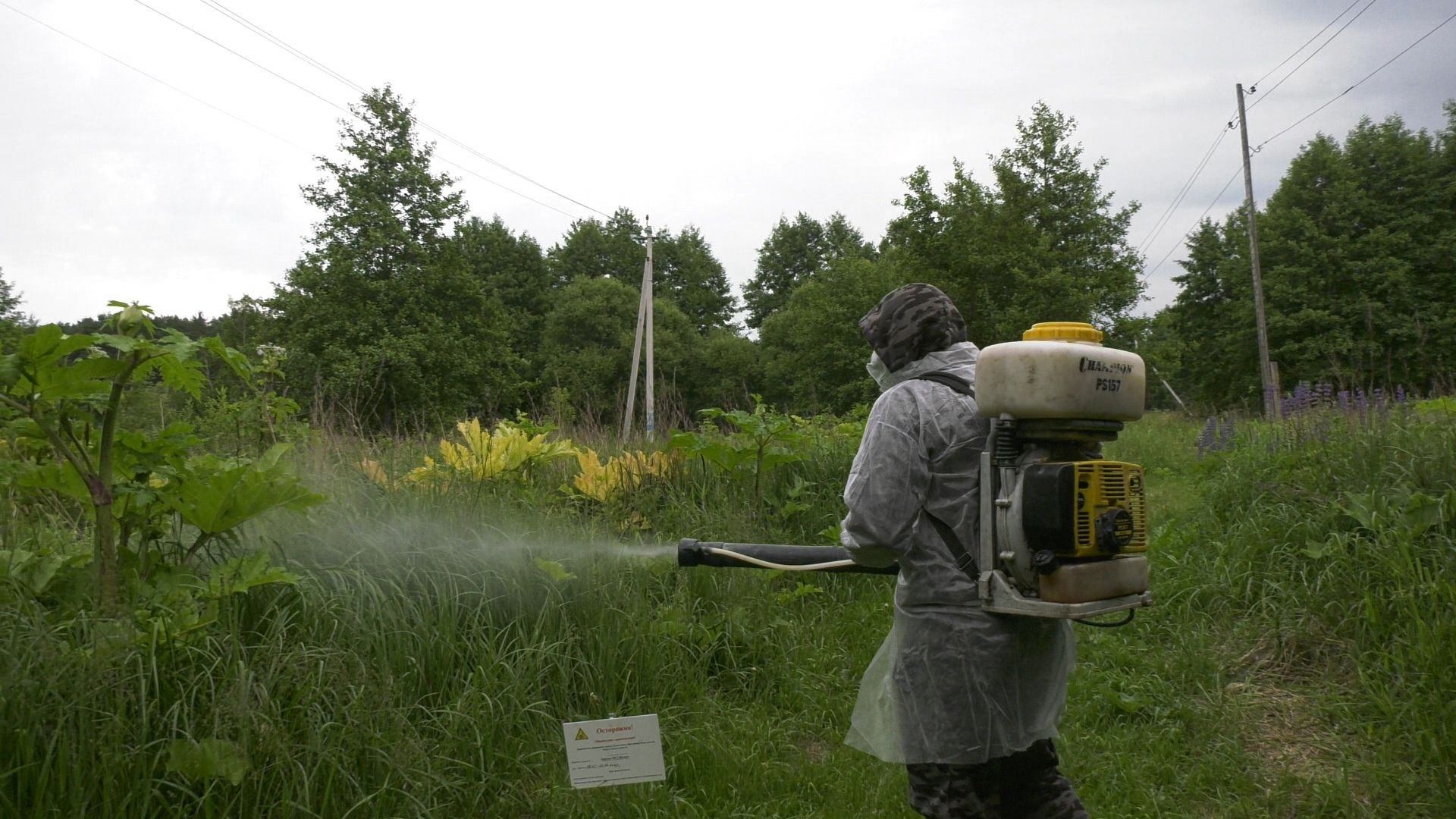 Егорьевск, Подмосковье, Московская область,