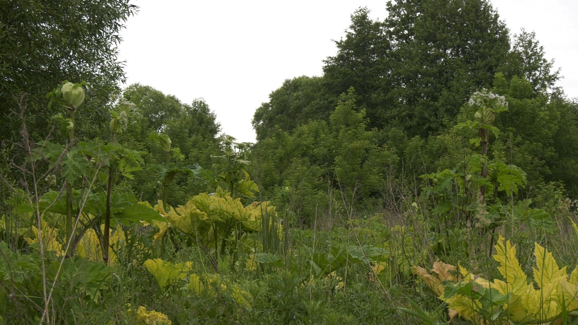 Егорьевск, Подмосковье, Московская область,