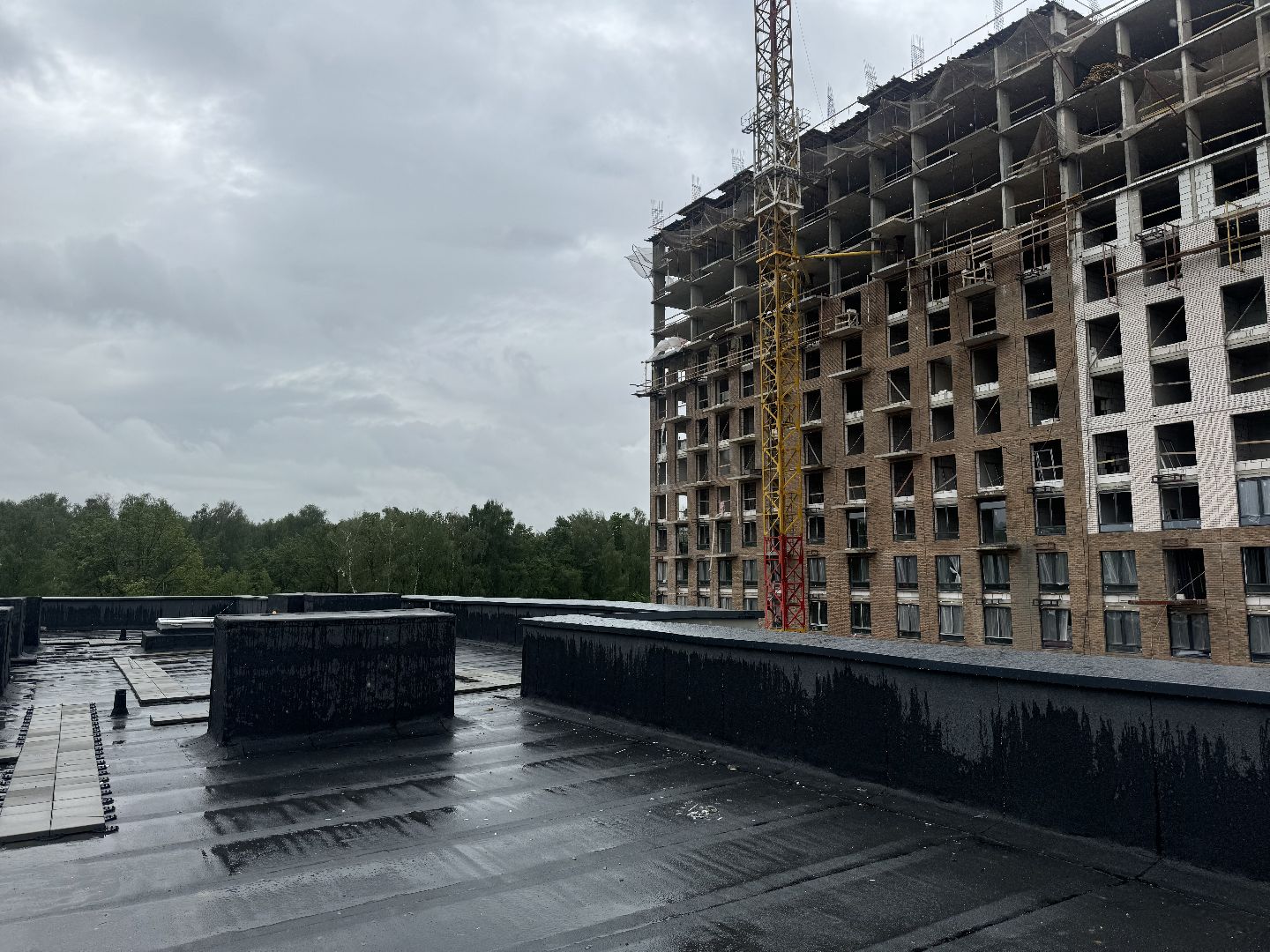 строительство детского сада, ленинский округ, группа компании самолет,жк пригород лесное,