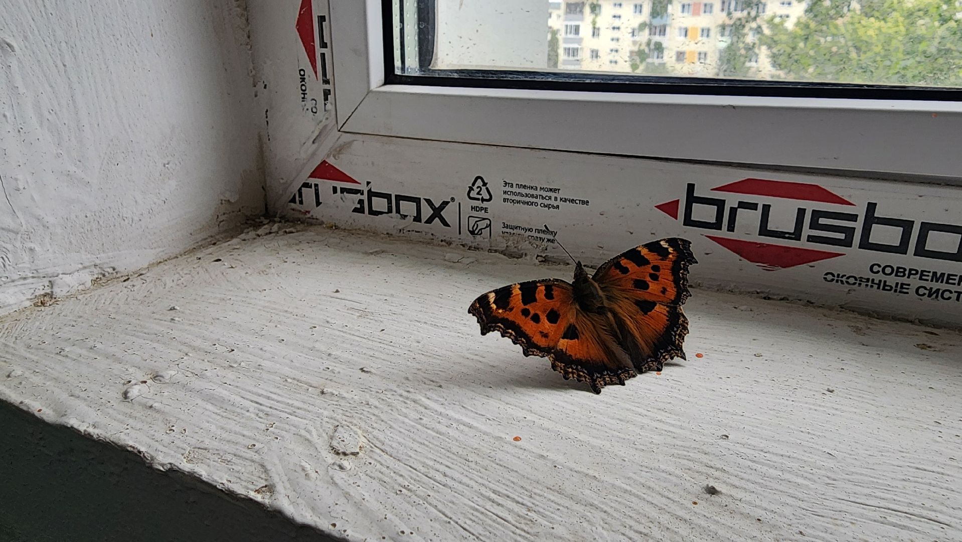 кашира, жкх, ремонт подъездов, капитальный ремонт, места общего пользования, покраска,