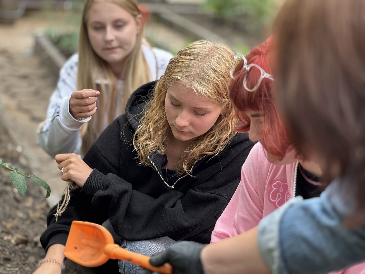 школьная теплица , балашиха, МБОУ Гимназия 1 им. Героя Российской Федерации А.В. Баландина,