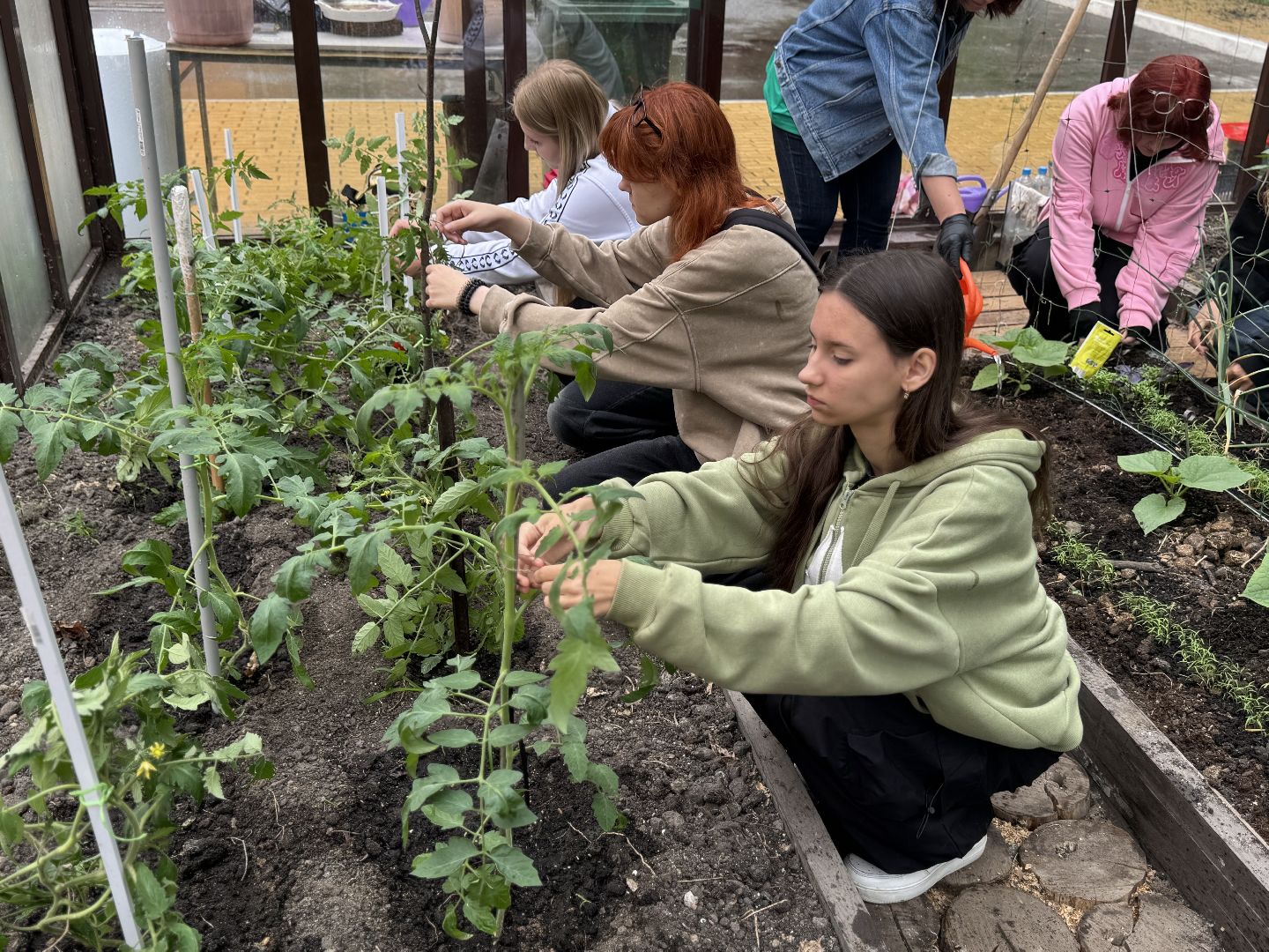 школьная теплица , балашиха, МБОУ Гимназия 1 им. Героя Российской Федерации А.В. Баландина,