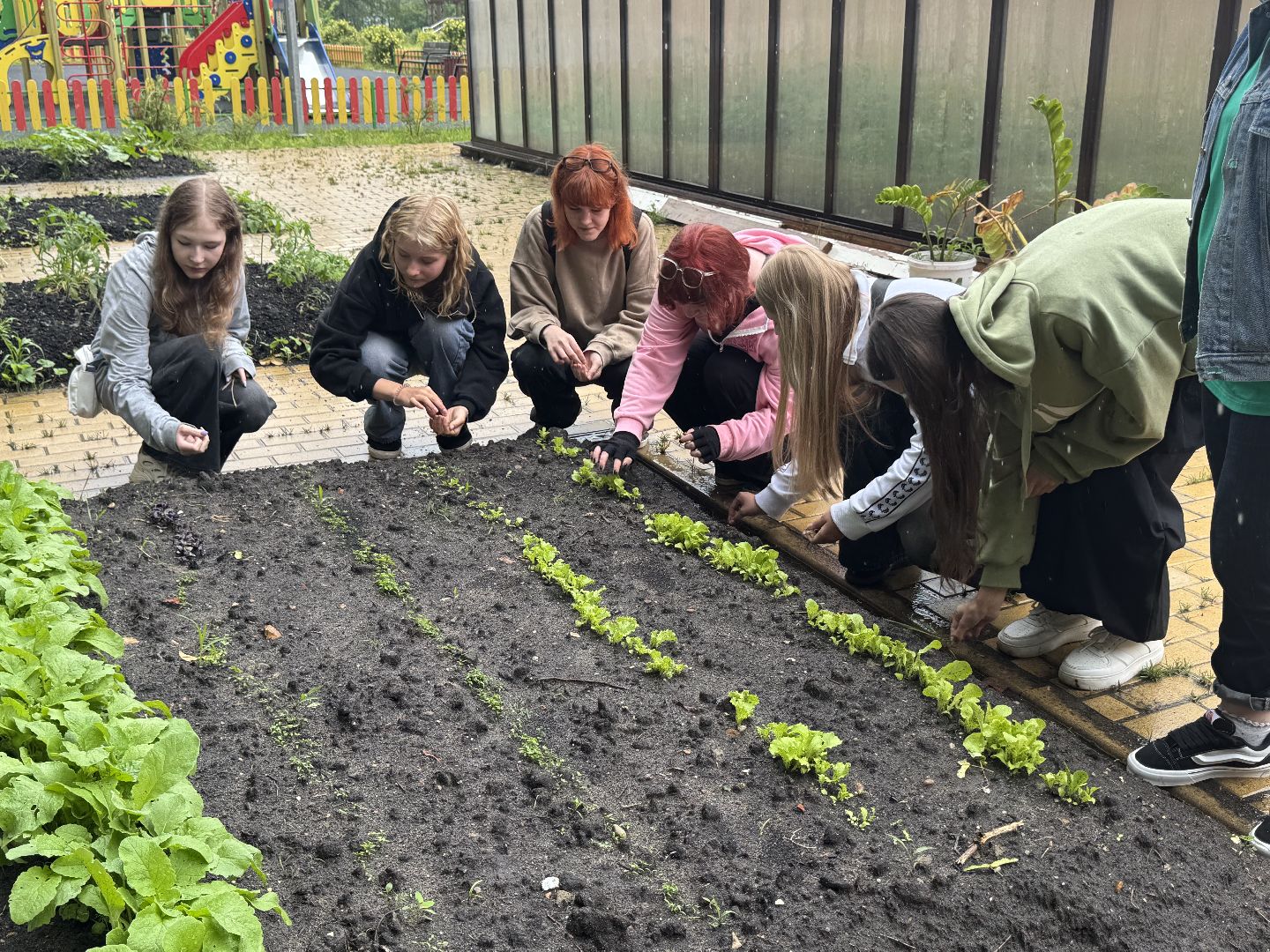 школьная теплица , балашиха, МБОУ Гимназия 1 им. Героя Российской Федерации А.В. Баландина,