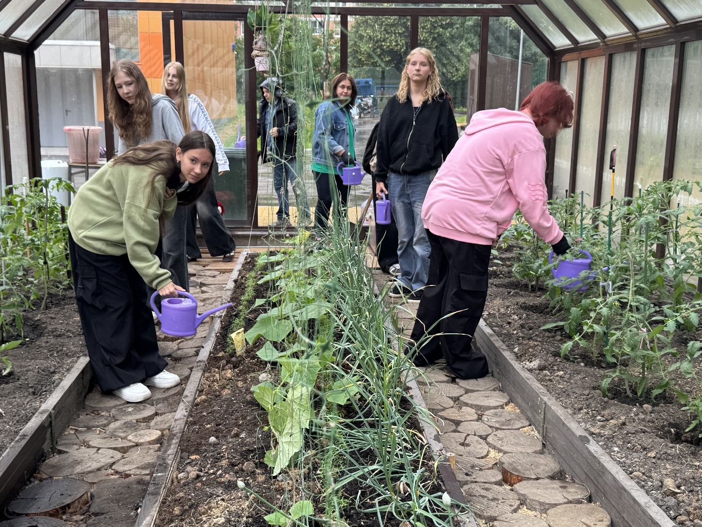 школьная теплица , балашиха, МБОУ Гимназия 1 им. Героя Российской Федерации А.В. Баландина,