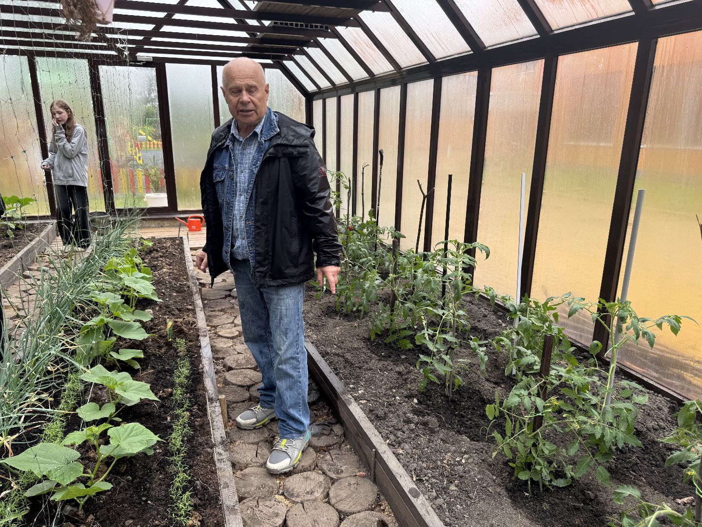 школьная теплица , балашиха, МБОУ Гимназия 1 им. Героя Российской Федерации А.В. Баландина,