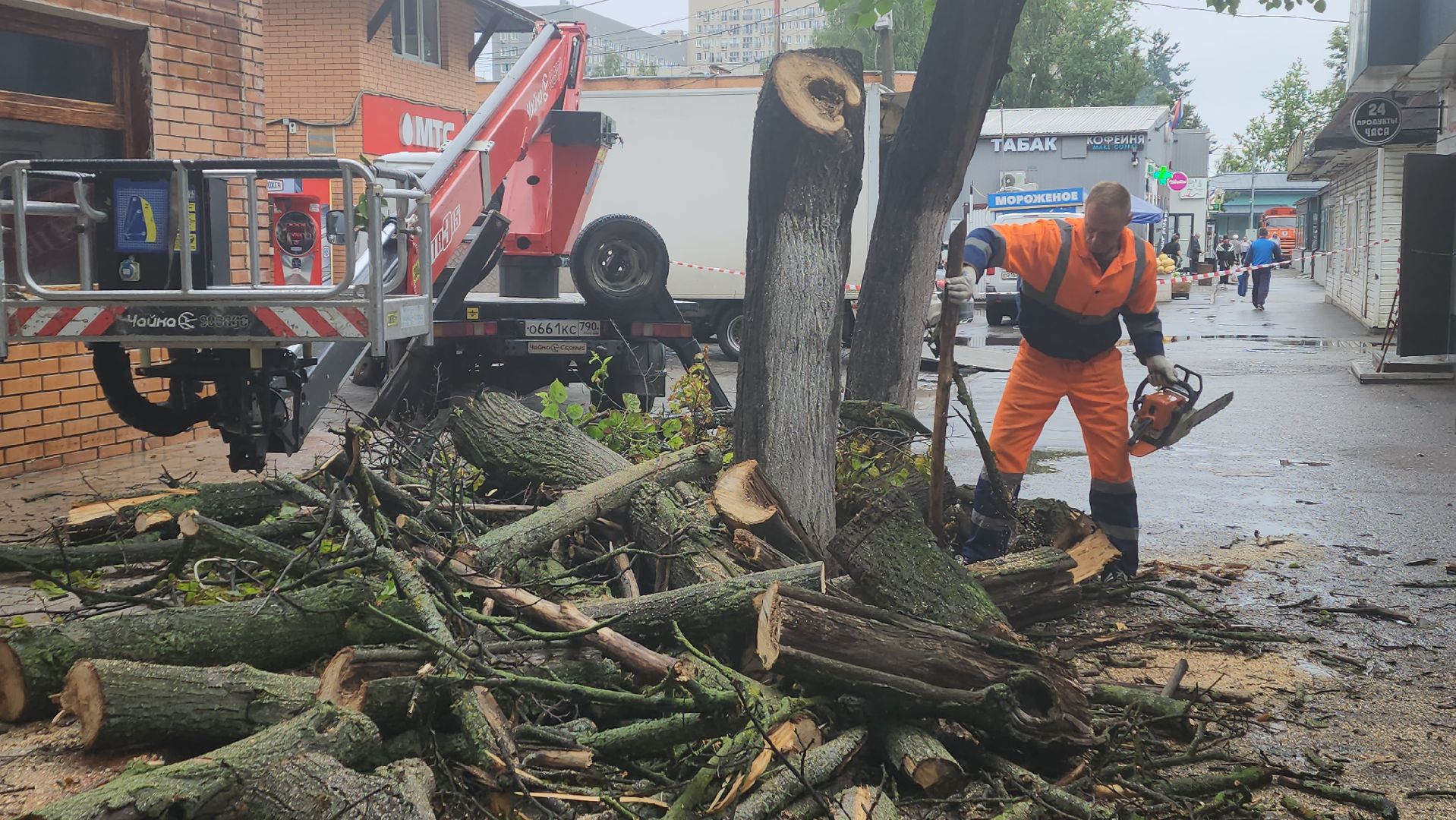 вертикалки, пушкино, удаление сухостоя, удаление аварийных деревьев, удаление деревьев, коммунальная служба,