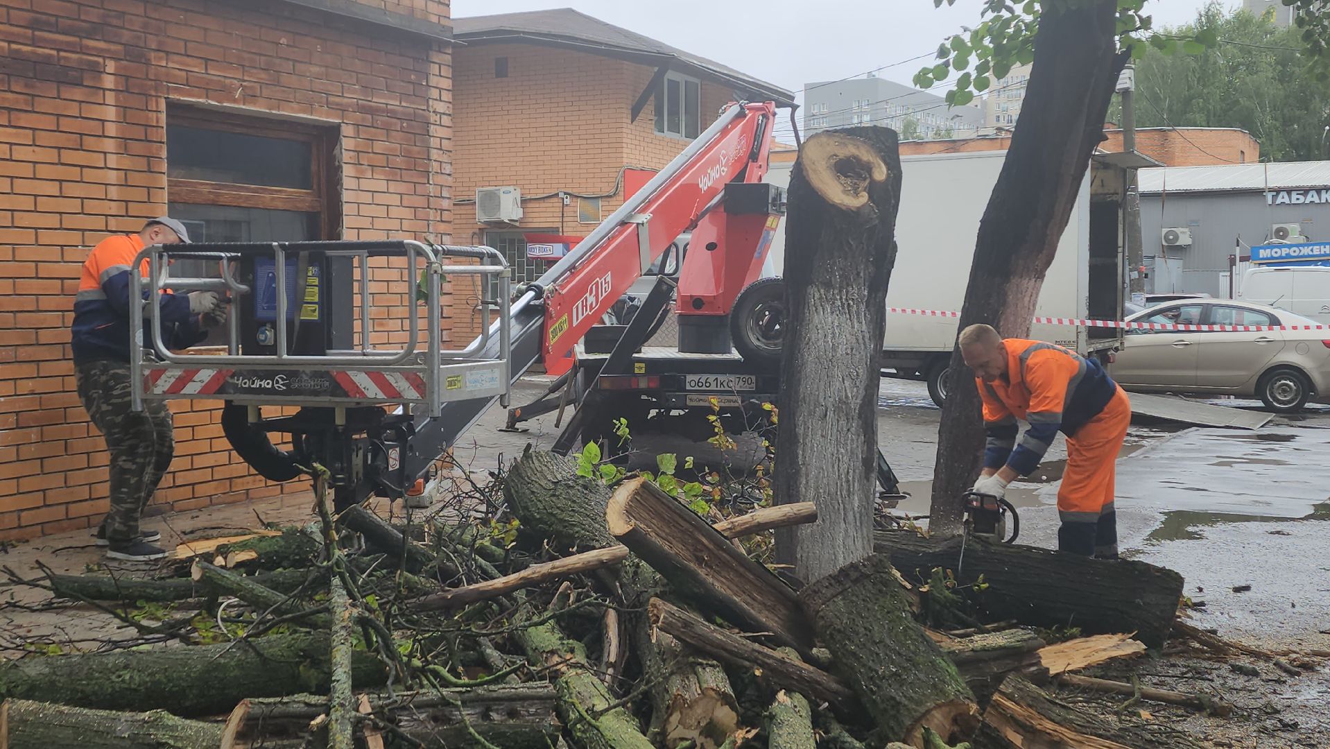 вертикалки, пушкино, удаление сухостоя, удаление аварийных деревьев, удаление деревьев, коммунальная служба,