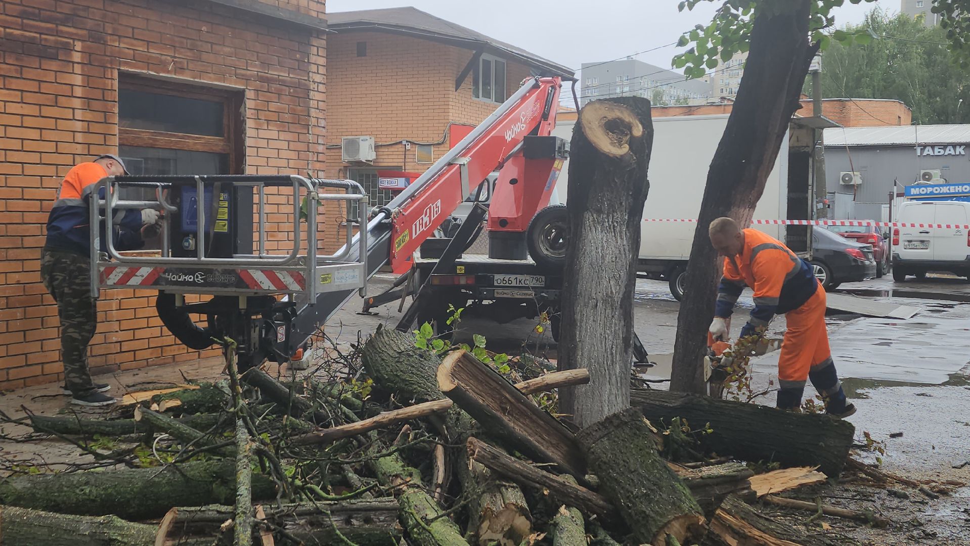 вертикалки, пушкино, удаление сухостоя, удаление аварийных деревьев, удаление деревьев, коммунальная служба,