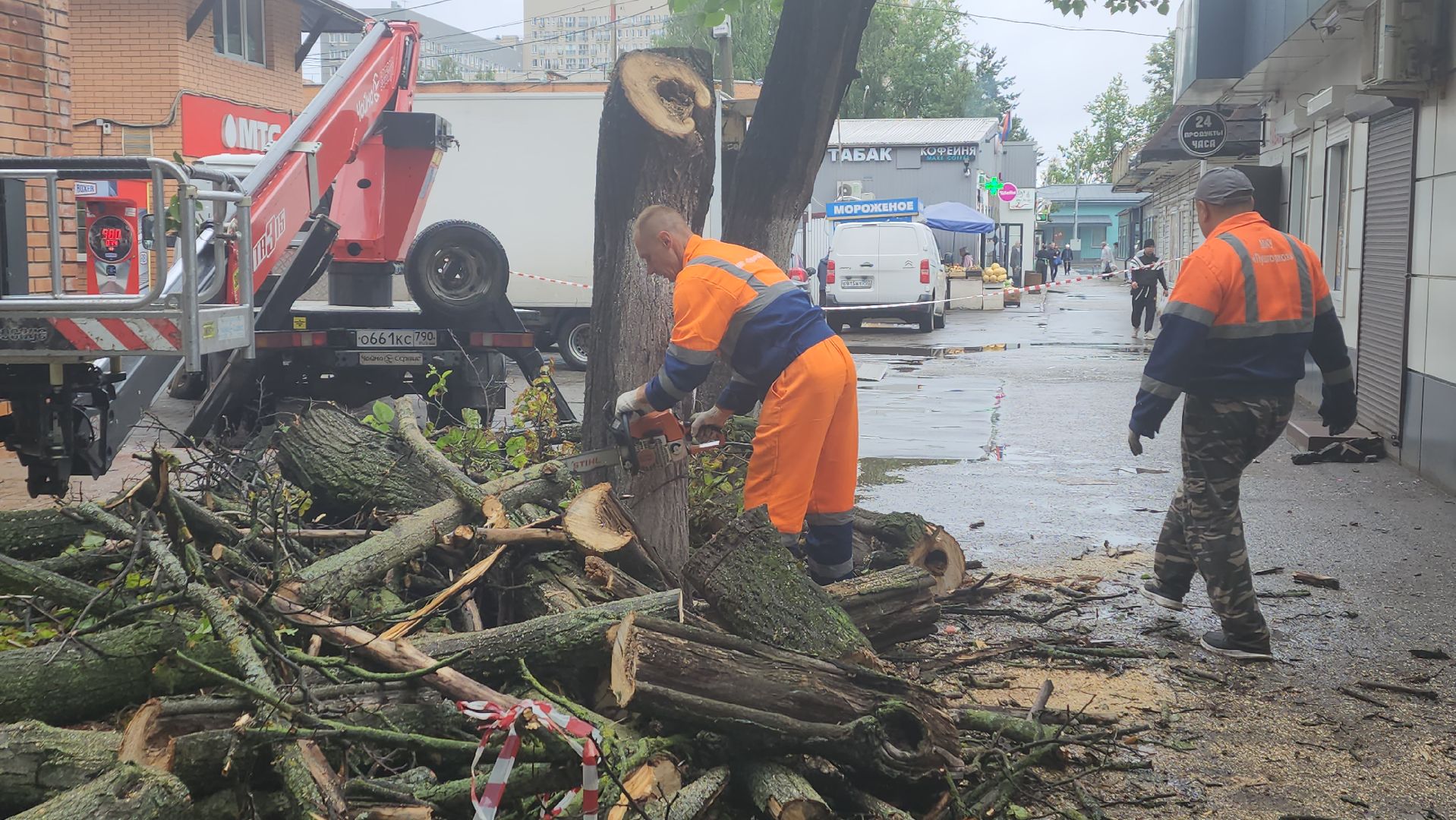 вертикалки, пушкино, удаление сухостоя, удаление аварийных деревьев, удаление деревьев, коммунальная служба,