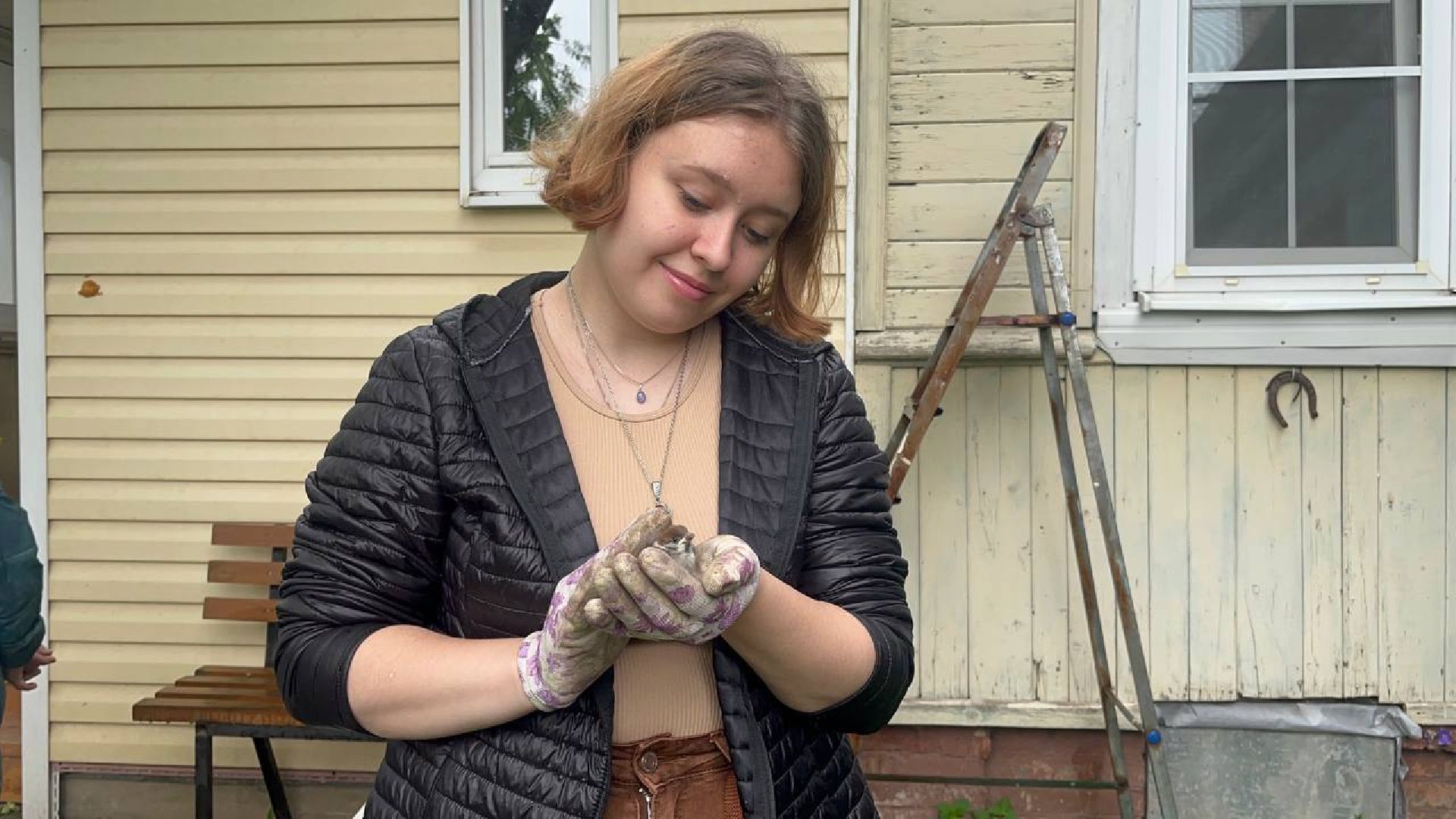 Истра,  Птенец, Воробей,