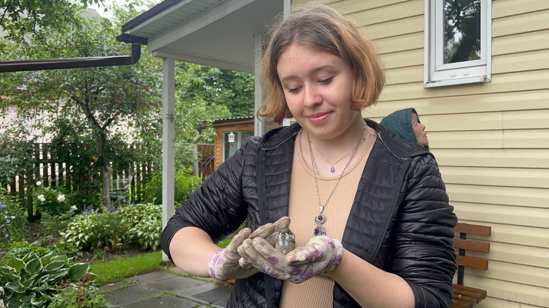 Истра,  Птенец, Воробей,