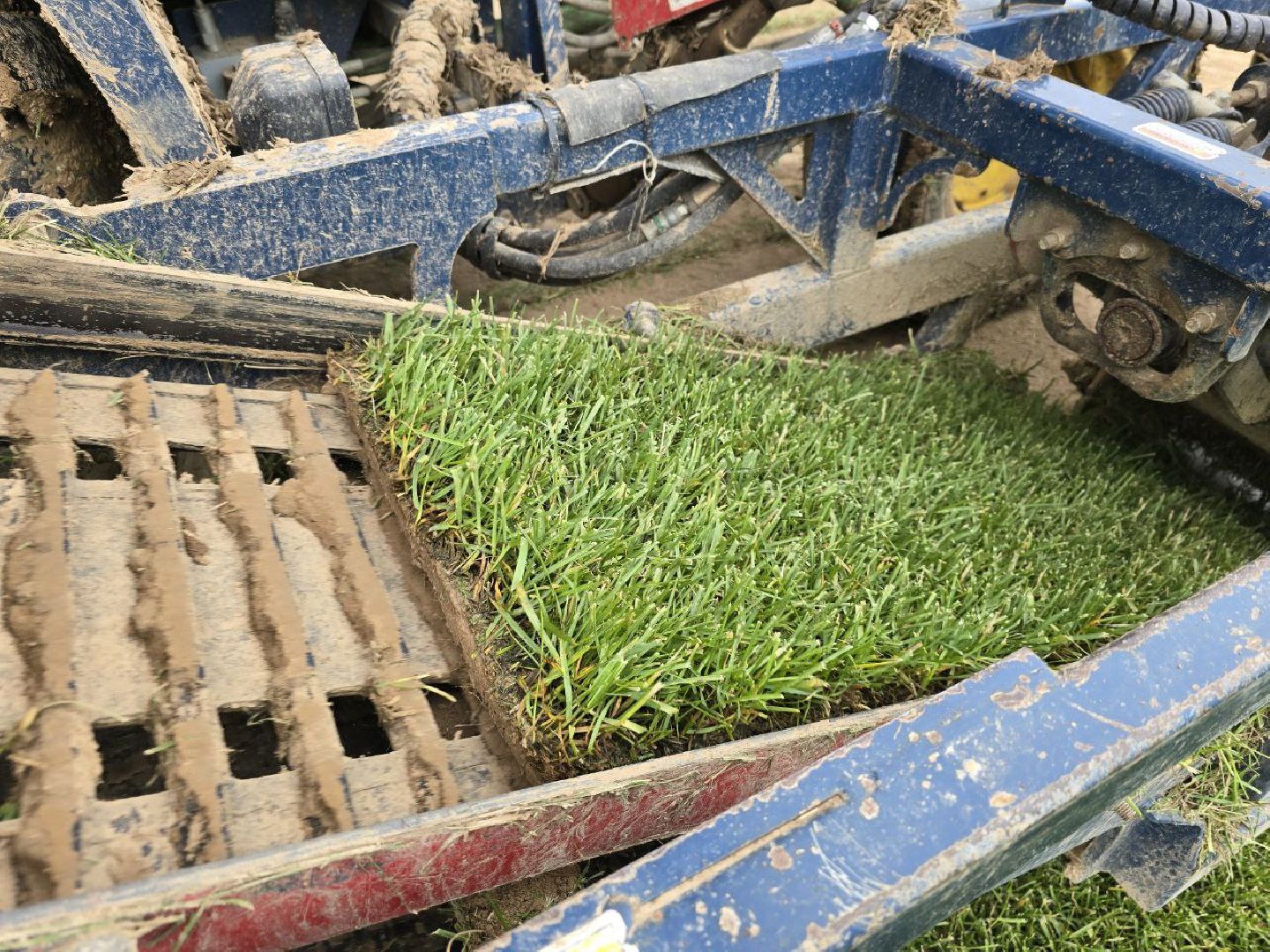 можайск, можайский муниципальный округ, подмосковье, сельхозпредприятие,   сельское хозяйство, аграрии, агропредприятие,