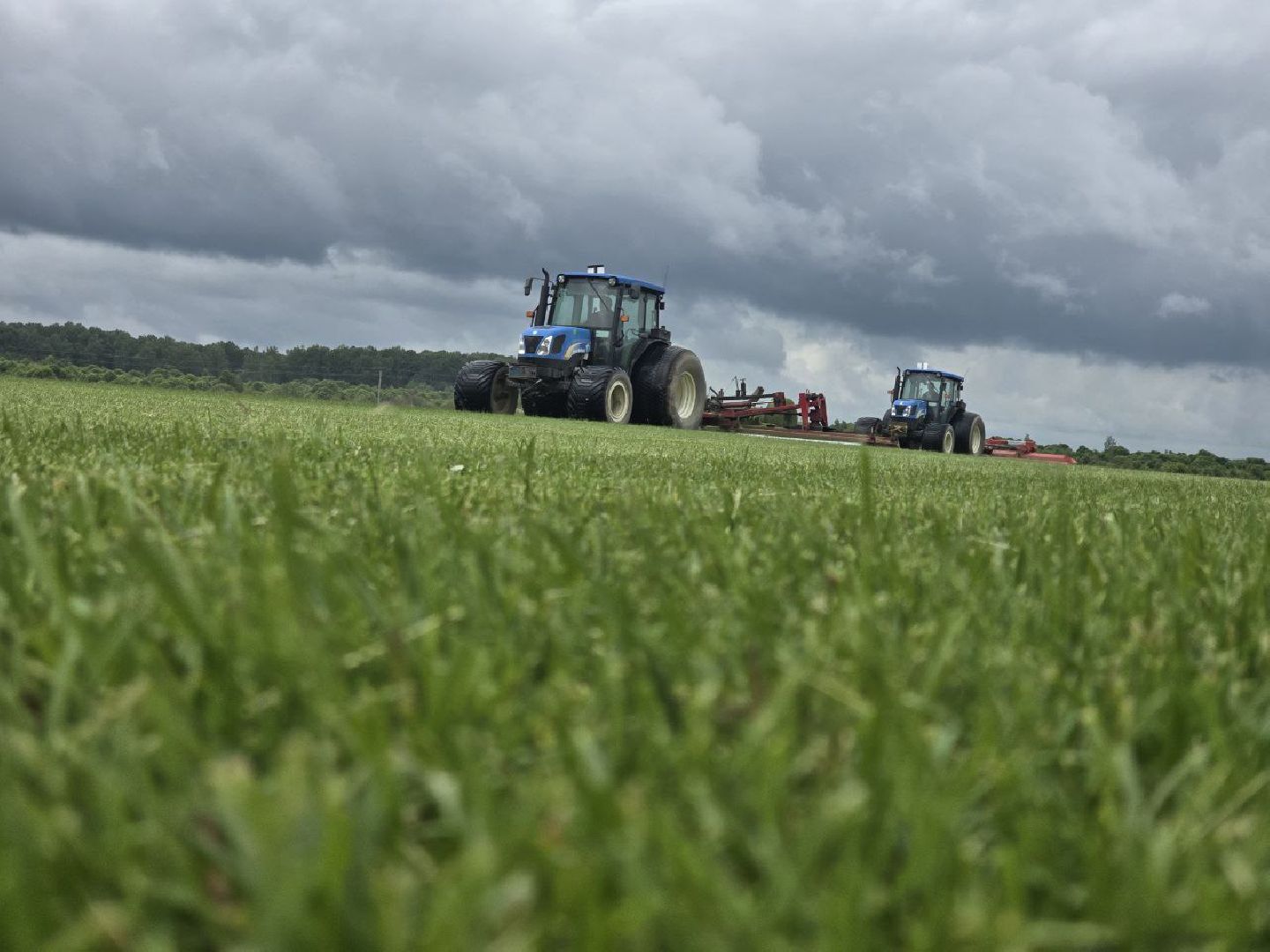 можайск, можайский муниципальный округ, подмосковье, сельхозпредприятие,   сельское хозяйство, аграрии, агропредприятие,