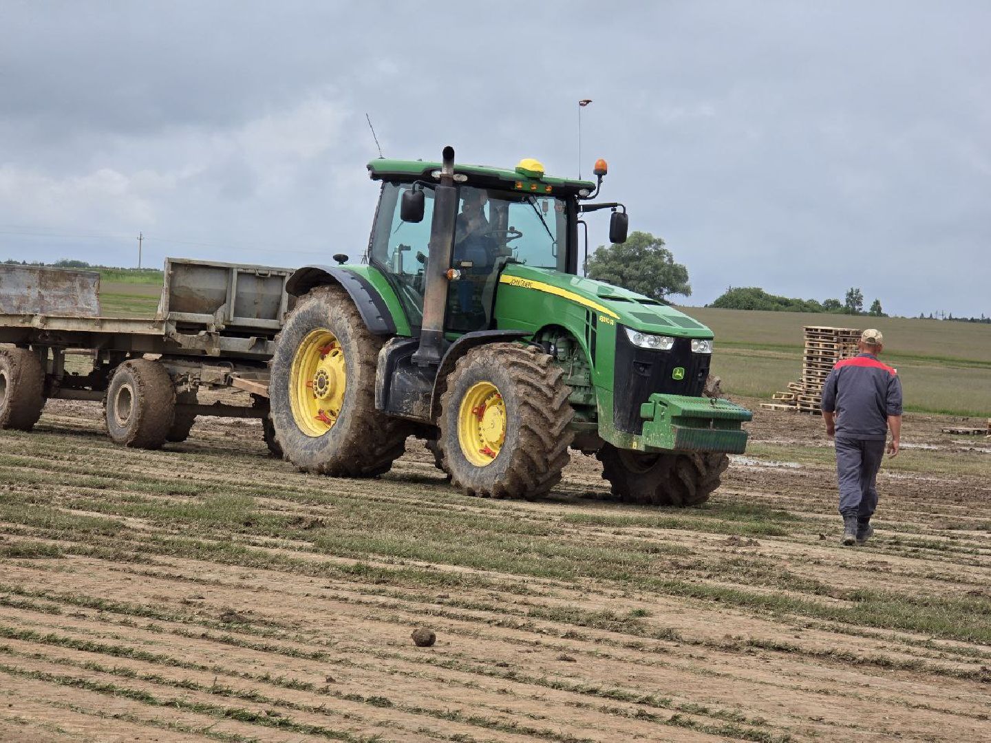 можайск, можайский муниципальный округ, подмосковье, сельхозпредприятие,   сельское хозяйство, аграрии, агропредприятие,