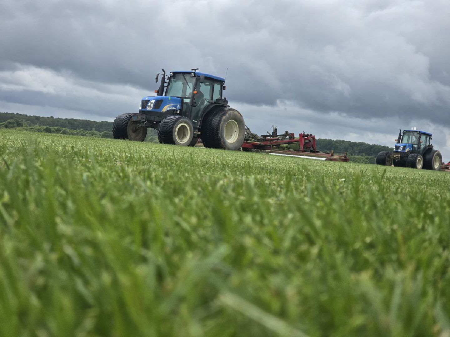 можайск, можайский муниципальный округ, подмосковье, сельхозпредприятие,   сельское хозяйство, аграрии, агропредприятие,