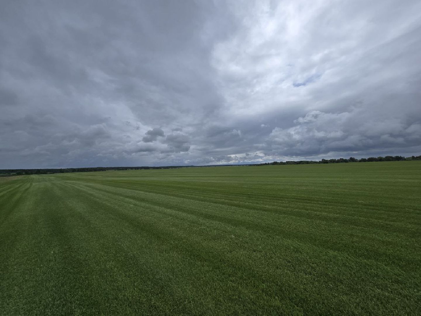 можайск, можайский муниципальный округ, подмосковье, сельхозпредприятие,   сельское хозяйство, аграрии, агропредприятие,