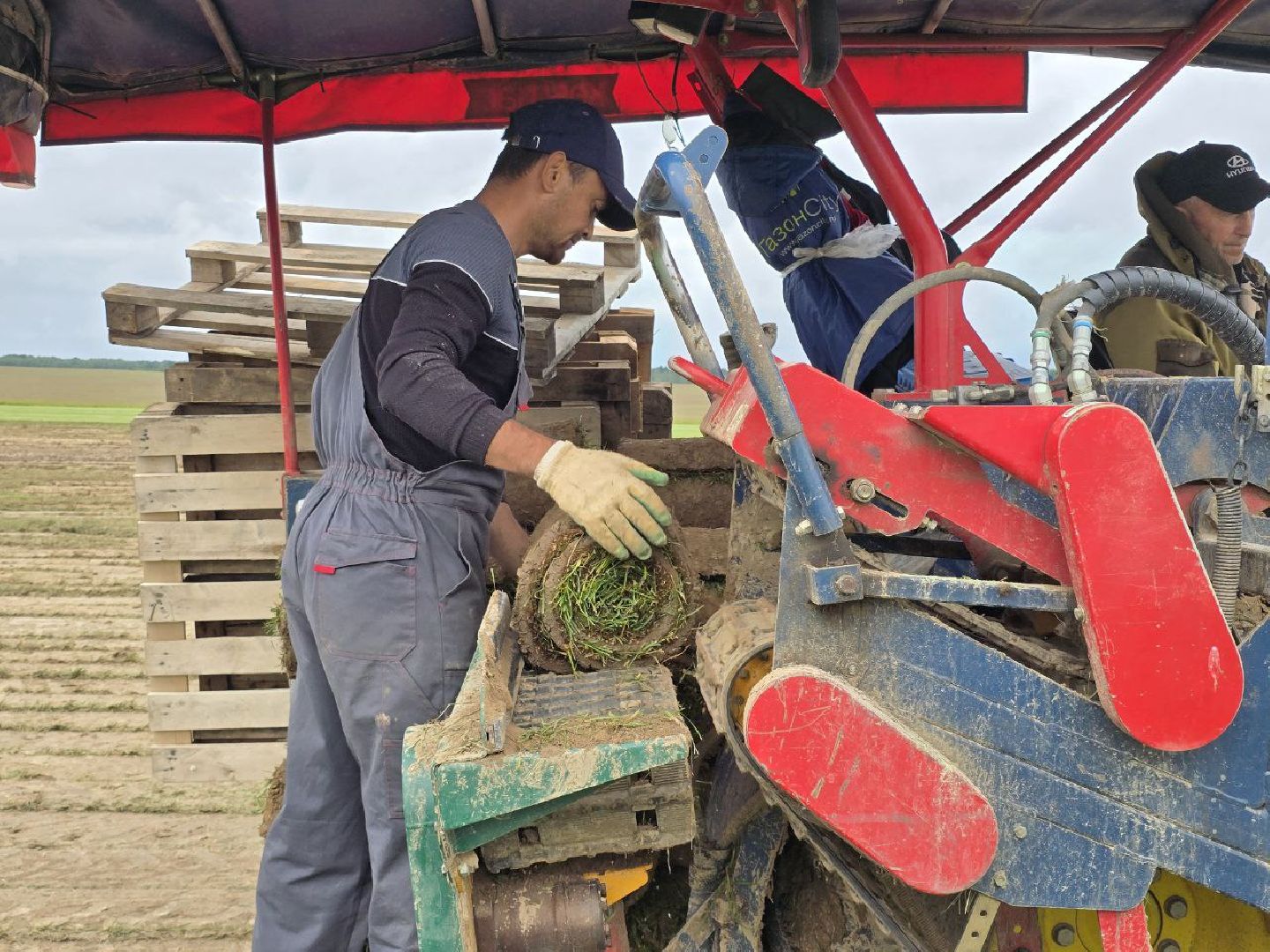 можайск, можайский муниципальный округ, подмосковье, сельхозпредприятие,   сельское хозяйство, аграрии, агропредприятие,