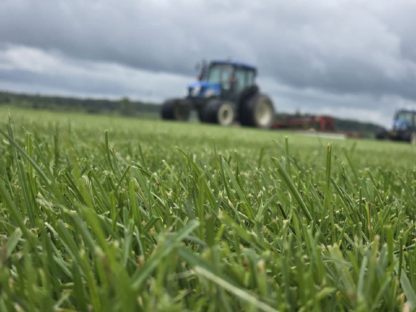 можайск, можайский муниципальный округ, подмосковье, сельхозпредприятие,   сельское хозяйство, аграрии, агропредприятие,