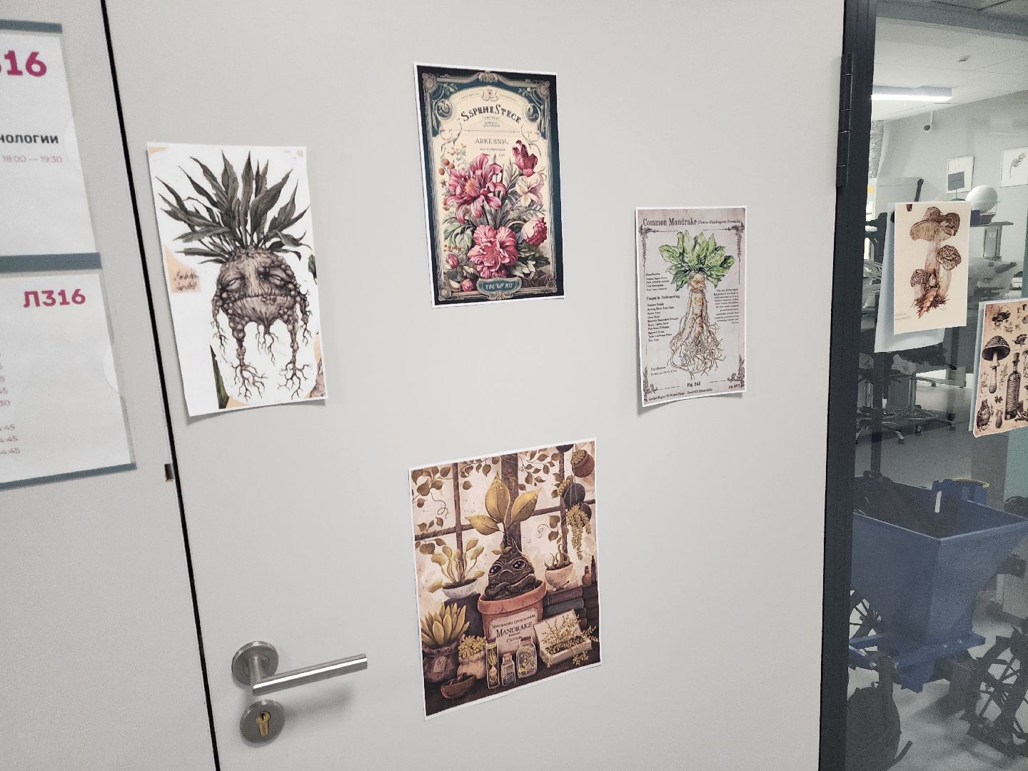 долгопрудный, технопарк физтех-лицея, гарри поттер, биохимтех, магия науки, эксперименты,