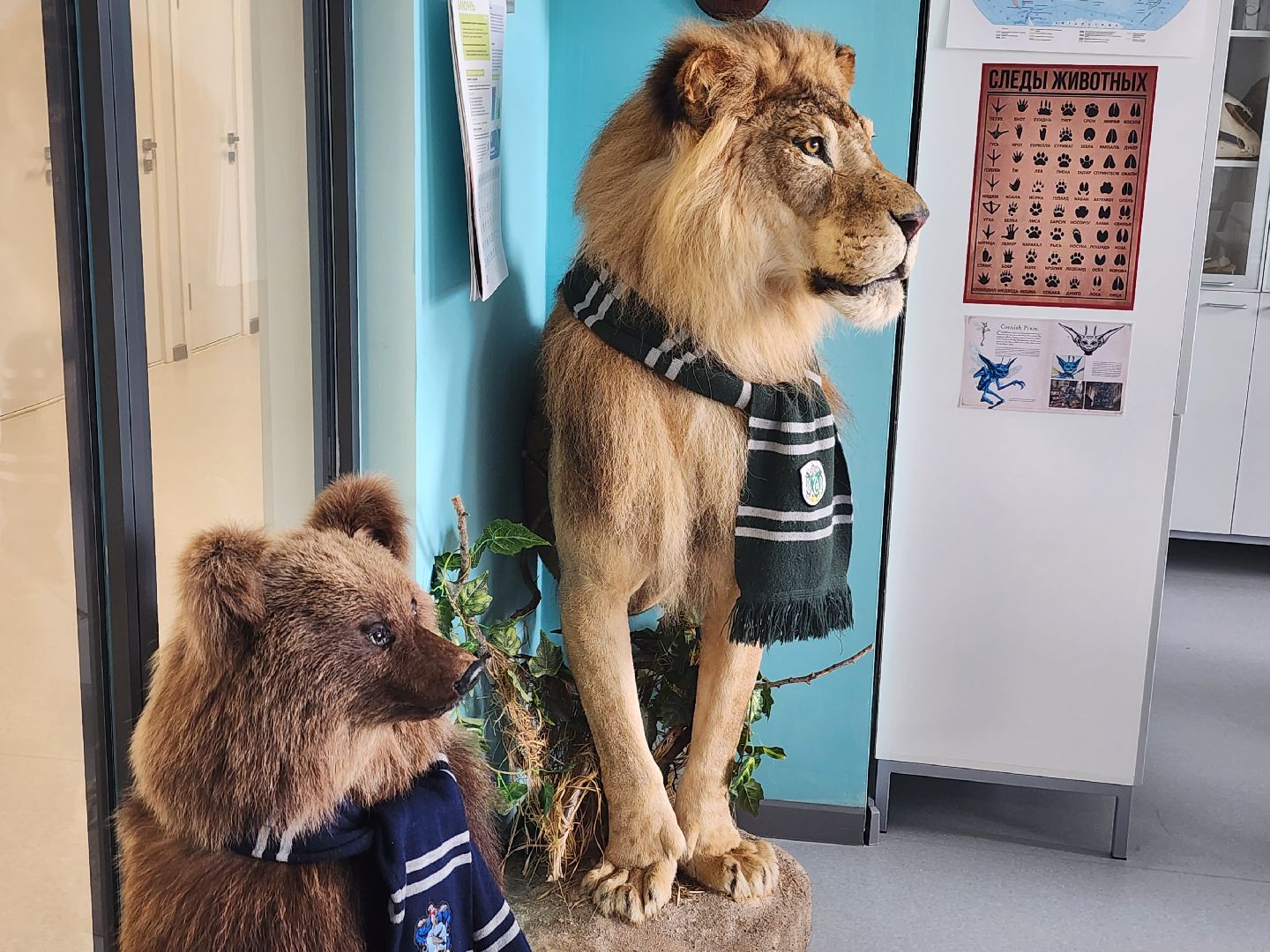 долгопрудный, технопарк физтех-лицея, гарри поттер, биохимтех, магия науки, эксперименты,