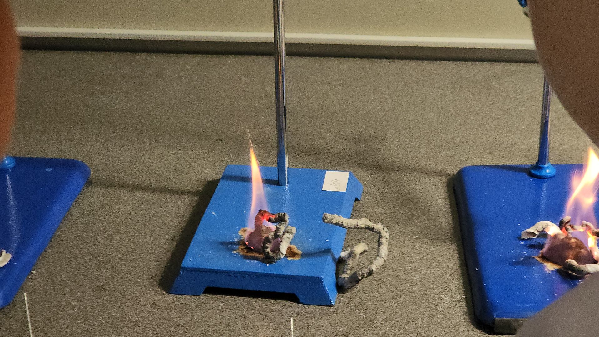 долгопрудный, технопарк физтех-лицея, гарри поттер, биохимтех, магия науки, эксперименты,