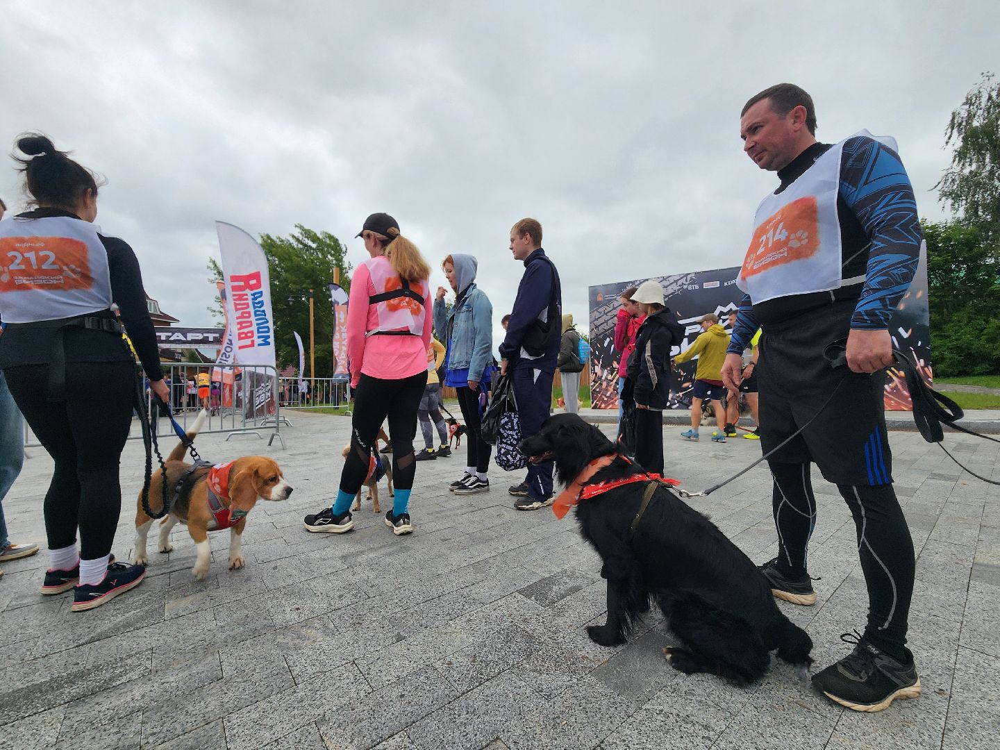 Зарайск, Зарайский Бизон, Экстремальный исторический забег, Забег с собаками, След в след,