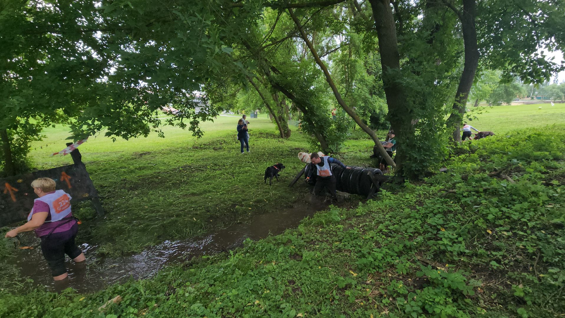 Зарайск, Зарайский Бизон, Экстремальный исторический забег, Забег с собаками, След в след,