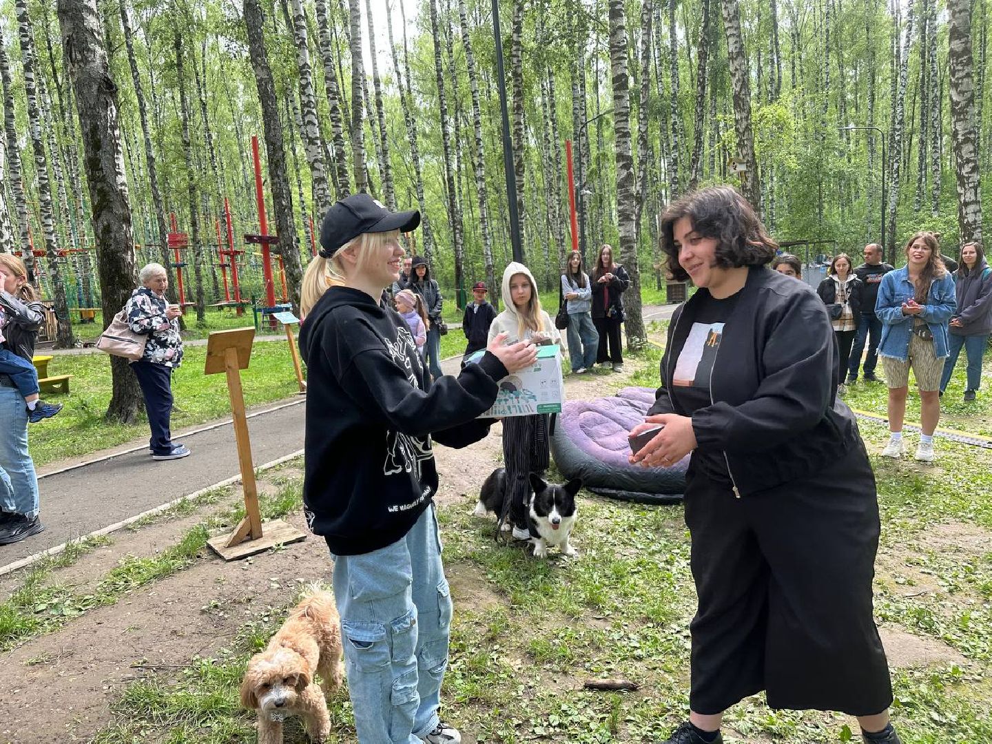 парки, домодедово, домашние животные,