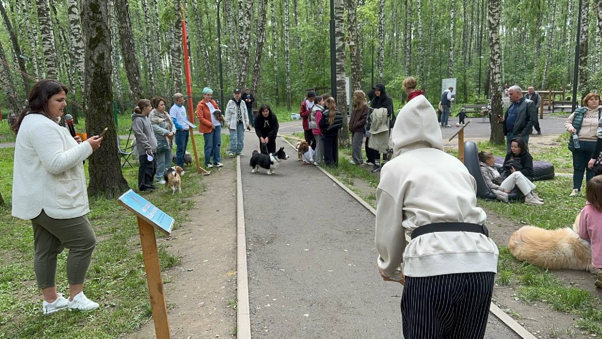 парки, домодедово, домашние животные,