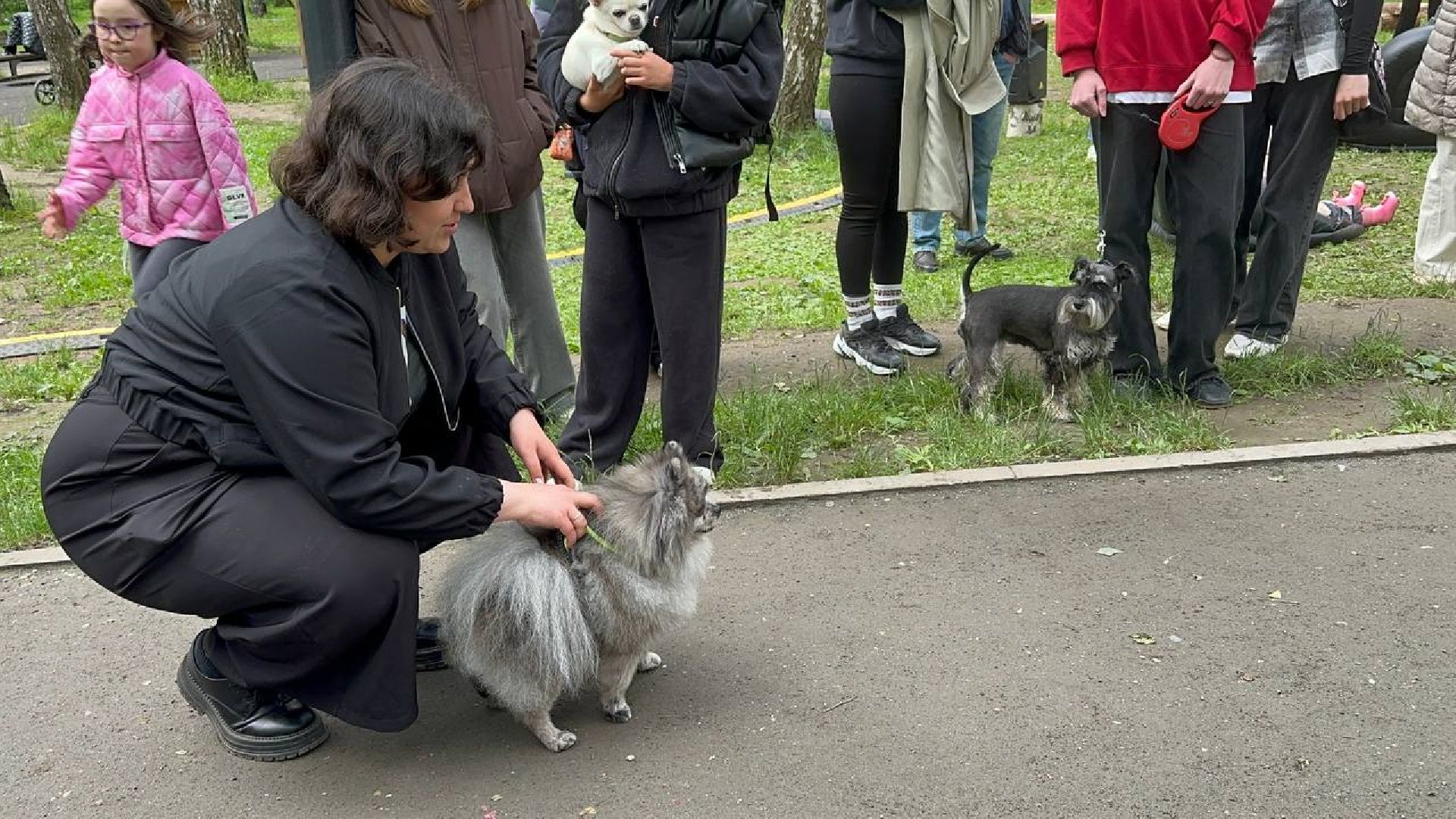 парки, домодедово, домашние животные,