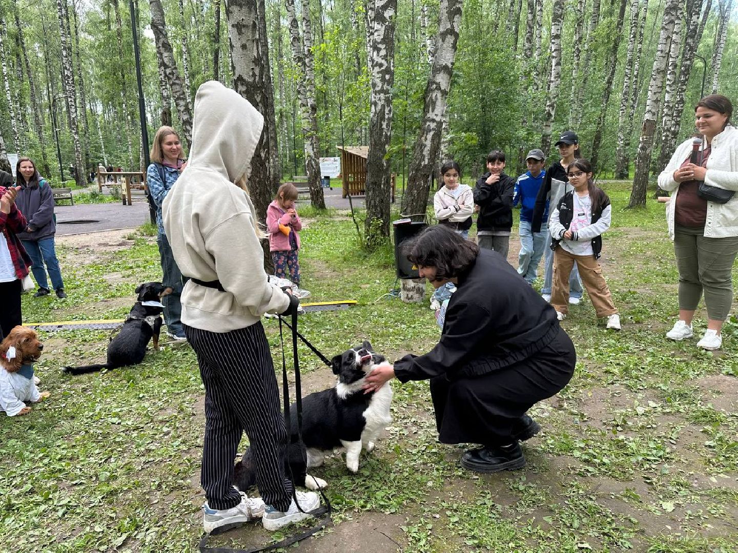 парки, домодедово, домашние животные,