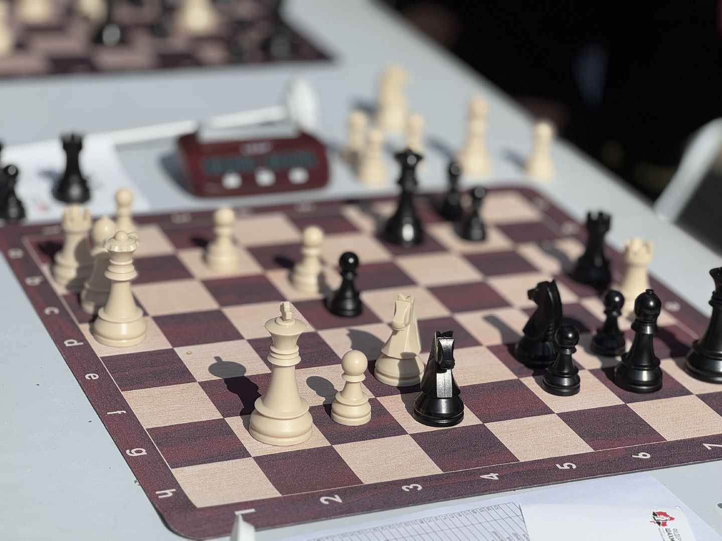 сергей карякин, шахматы, балашиха,