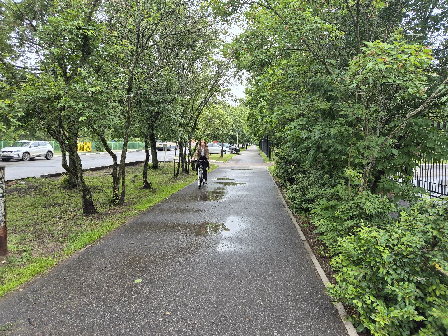 егэна100баллов, дубна, образование, образованиевдубне,