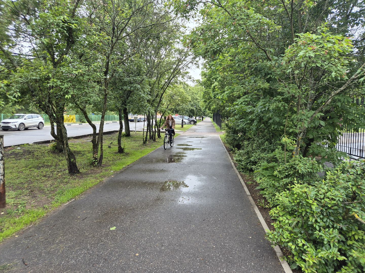 егэна100баллов, дубна, образование, образованиевдубне,