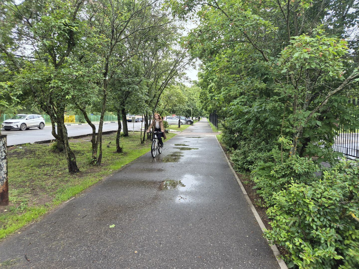 егэна100баллов, дубна, образование, образованиевдубне,