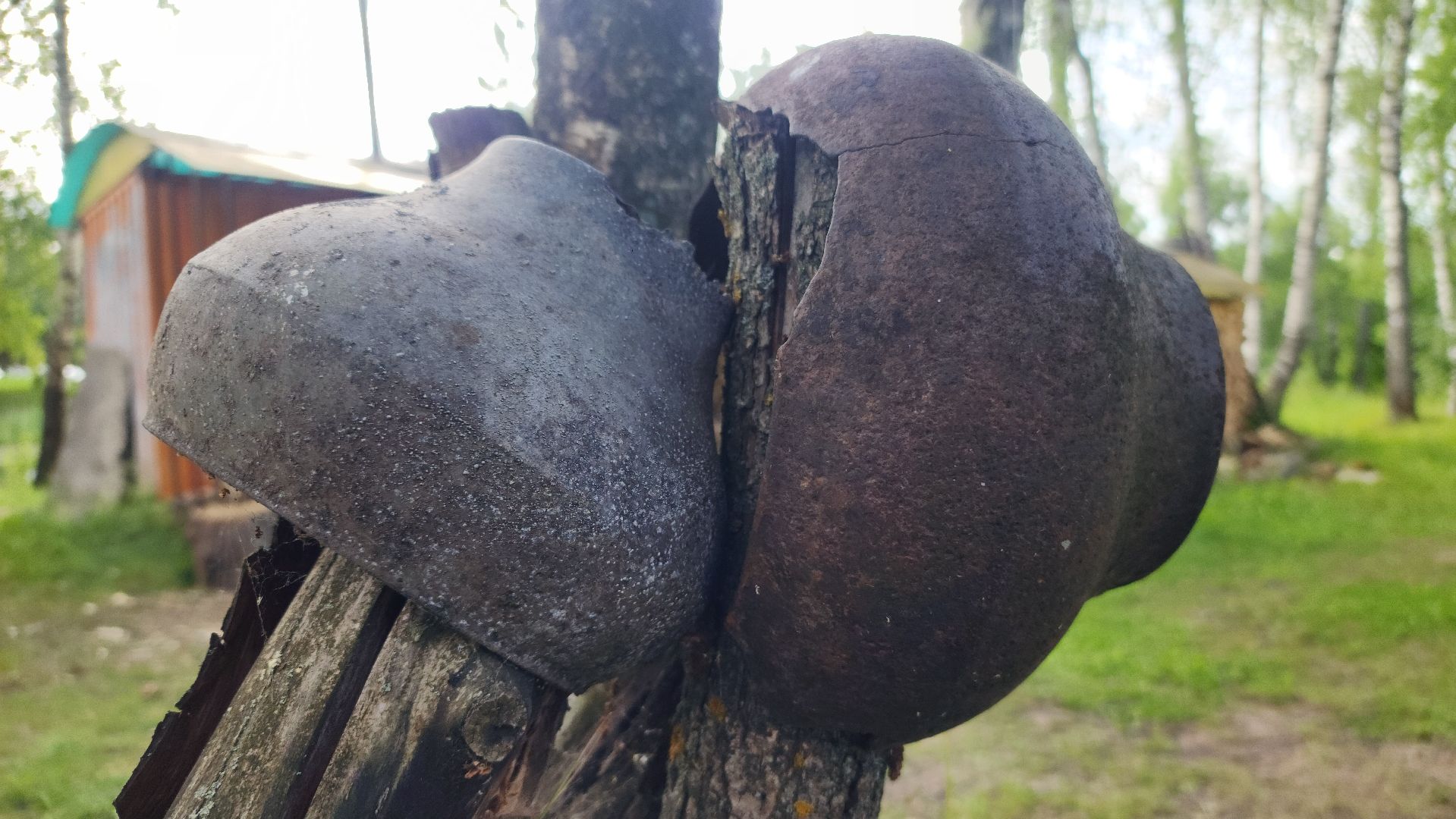 волоколамск, этнофестиваль,