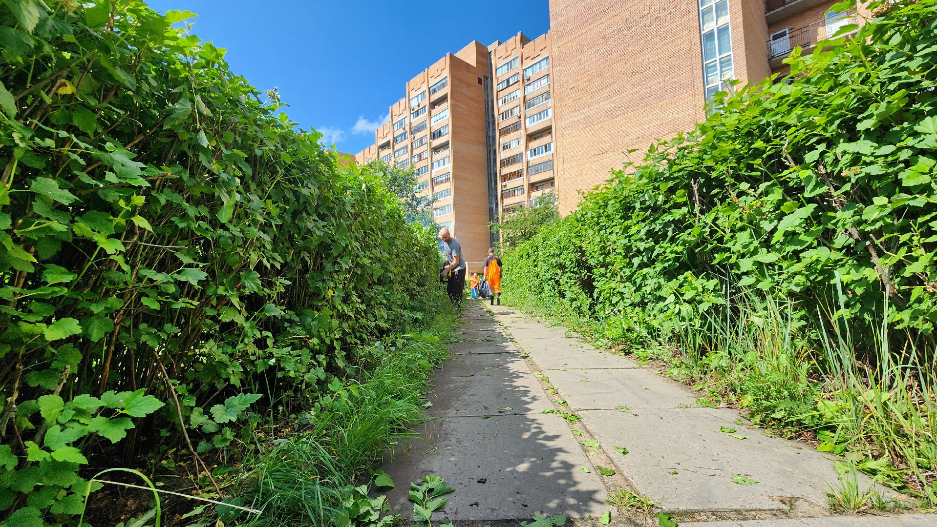 протвино, комбинат благоустройства, благоустроенная территория,