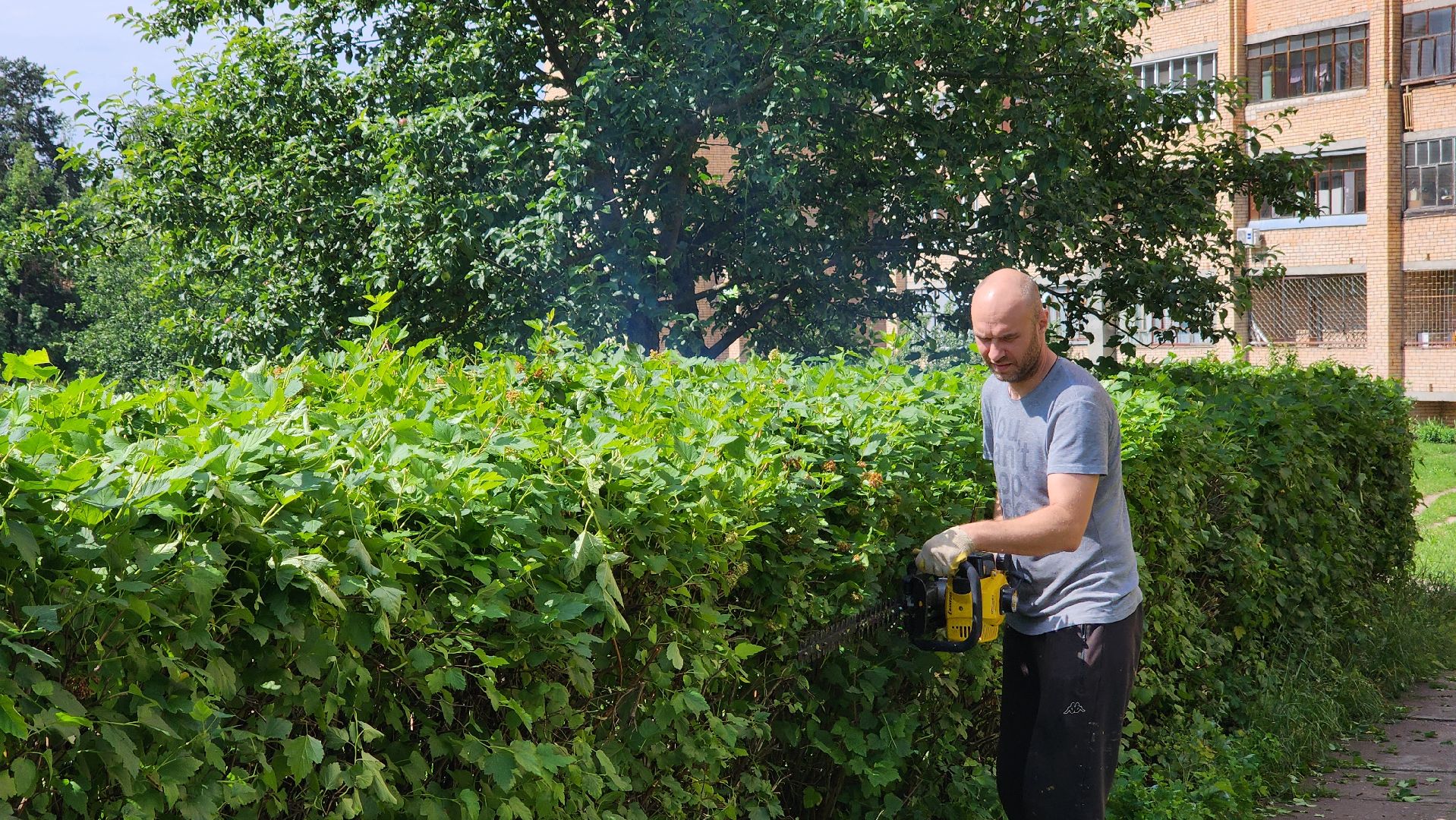 протвино, комбинат благоустройства, благоустроенная территория,