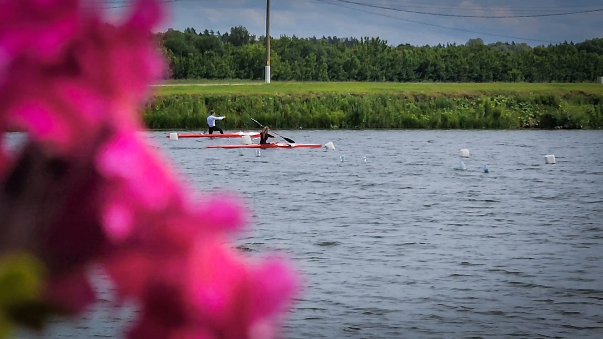 бронницы, парк бронницкий луг , цветы в парке, огород в парке бронницкий луг ,
