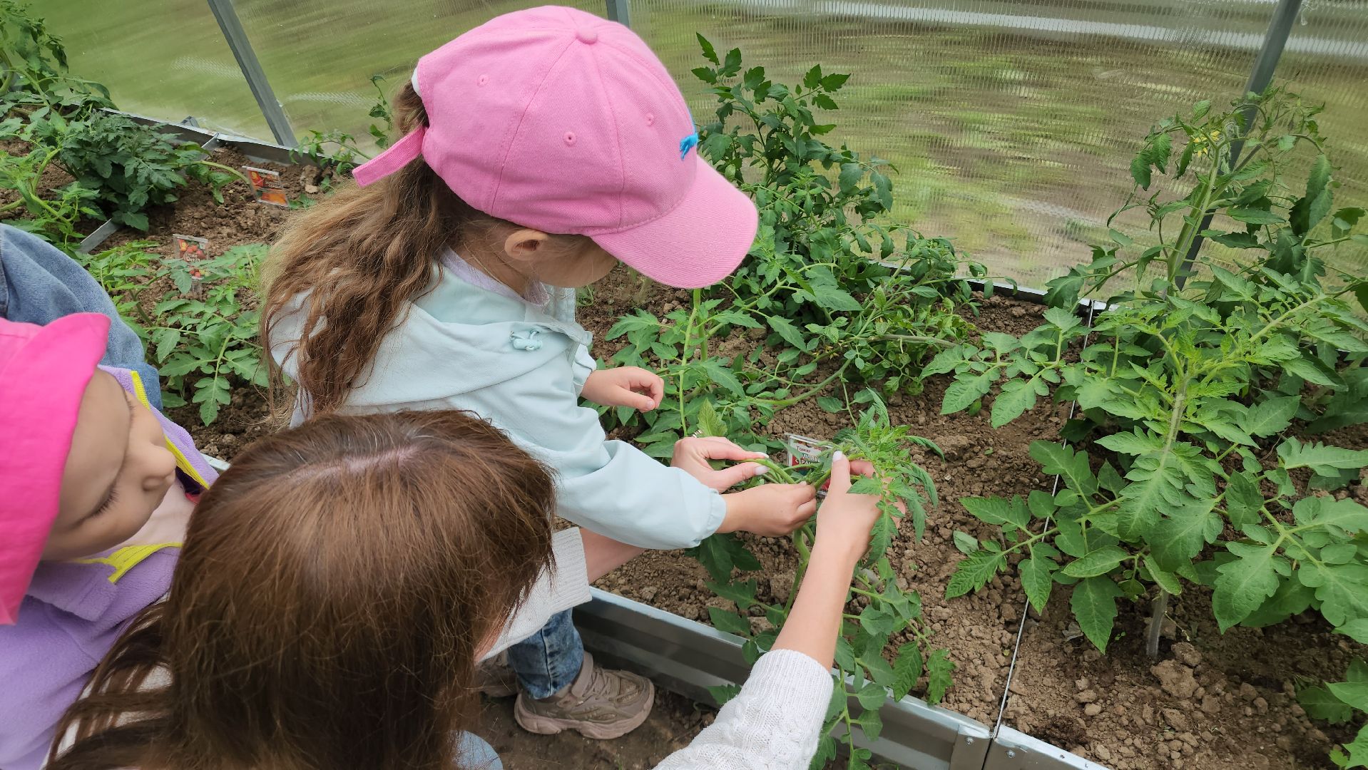 ступино, образование, профориентация, агроклассы,