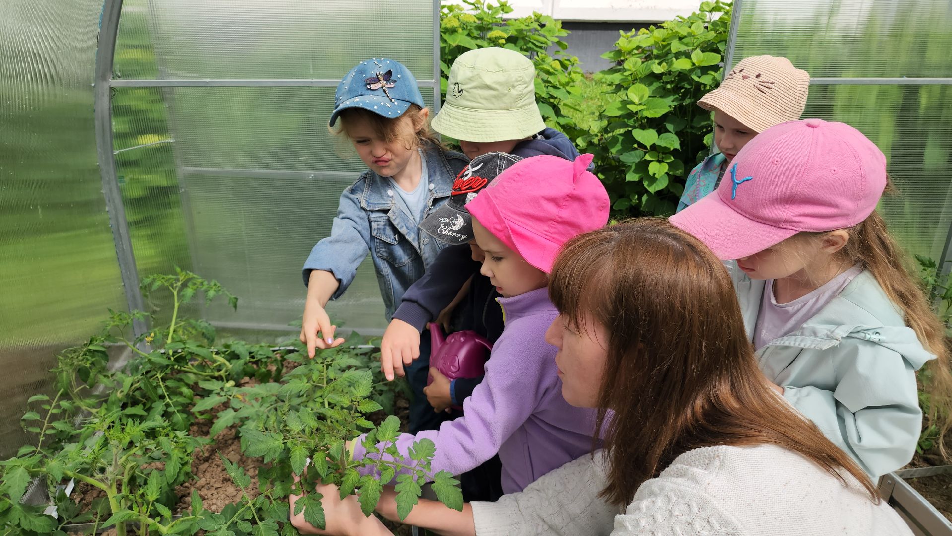 ступино, образование, профориентация, агроклассы,