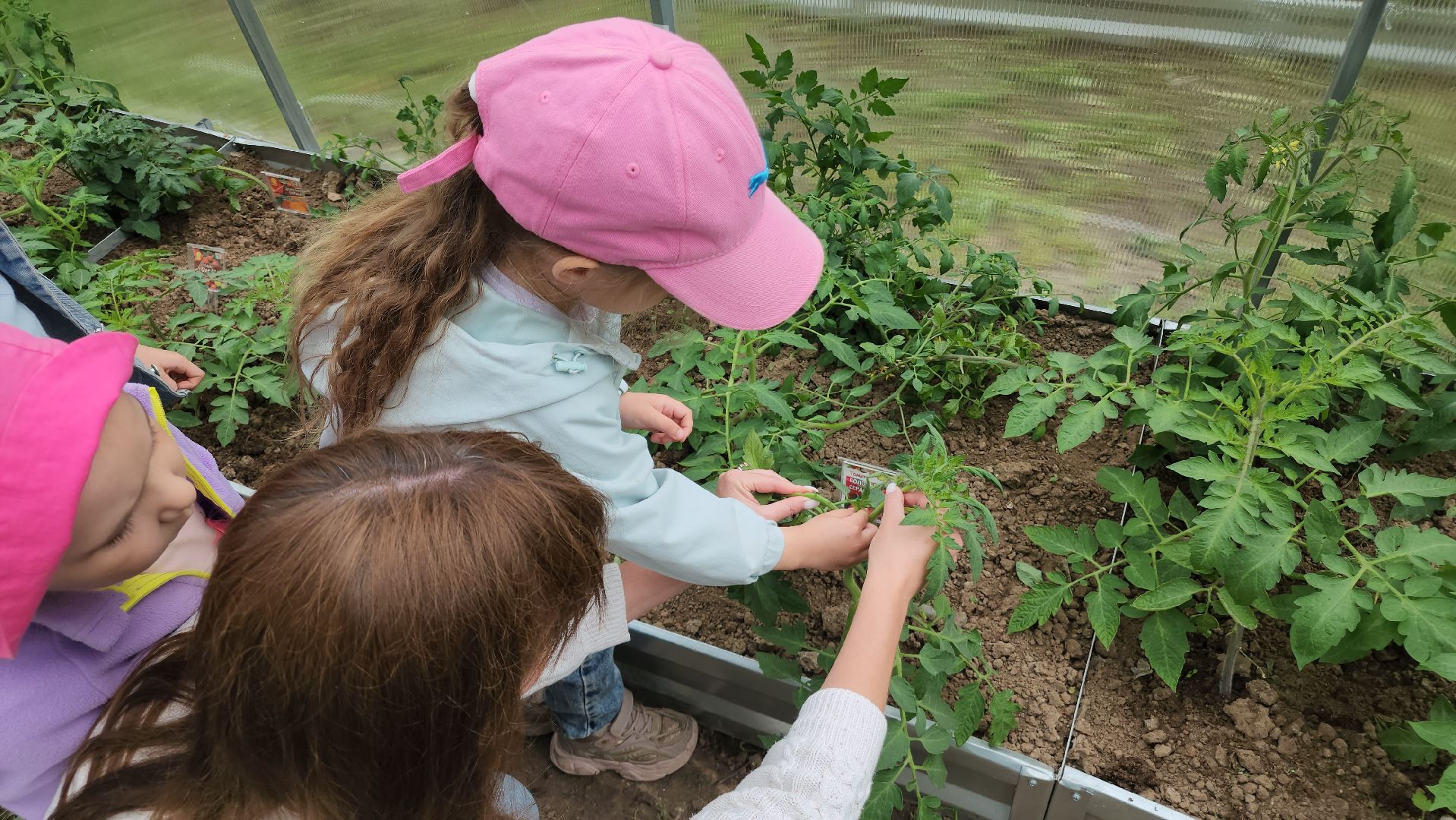 ступино, образование, профориентация, агроклассы,