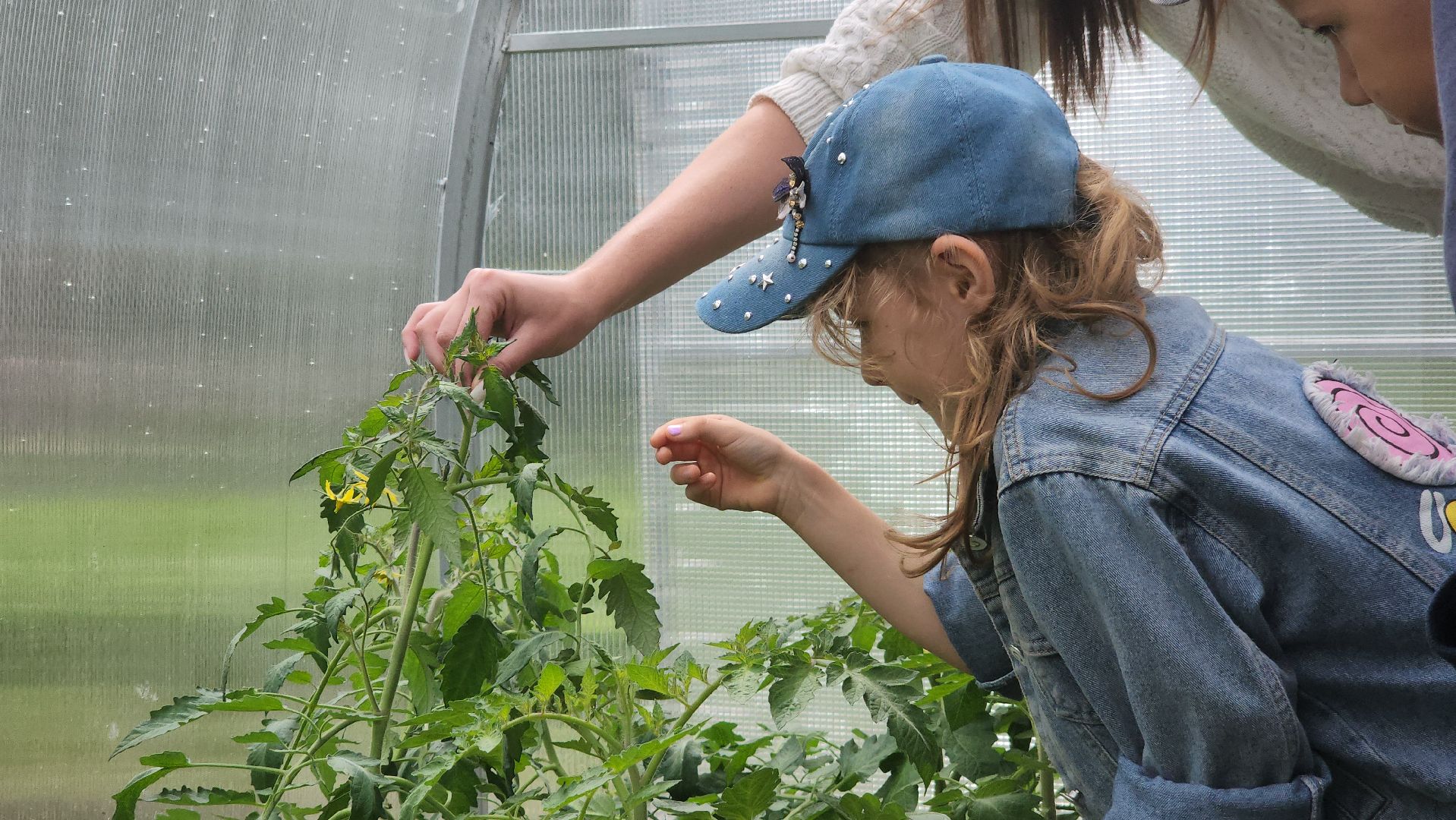 ступино, образование, профориентация, агроклассы,