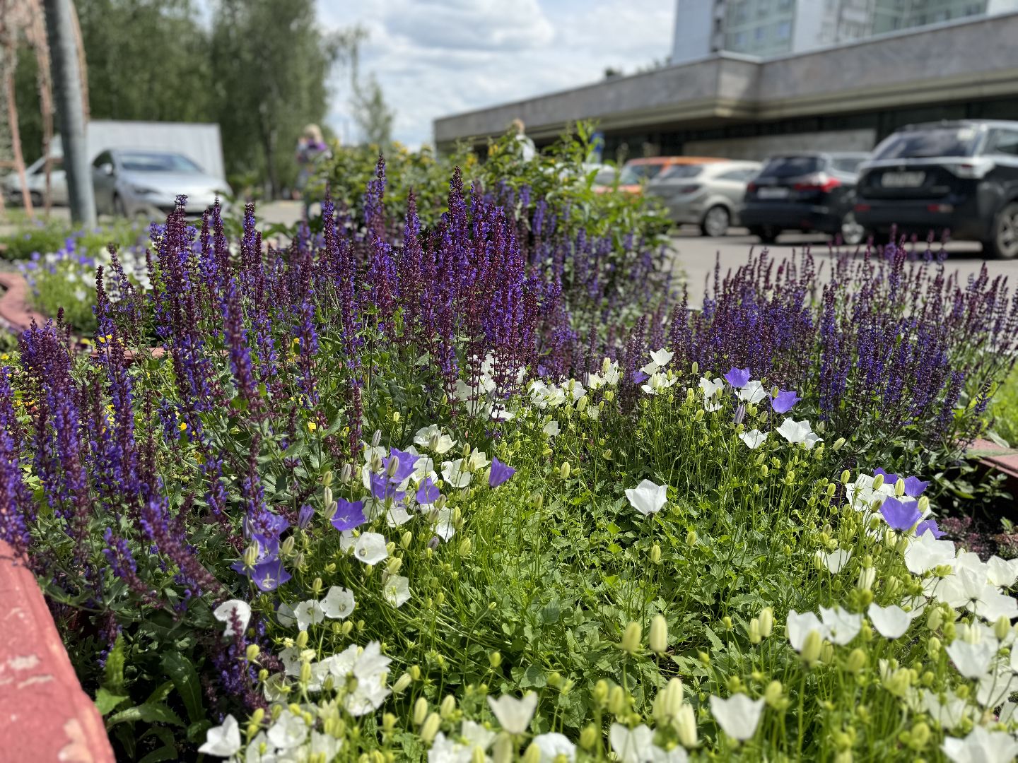 выездная регистрация брака, ленинский городской округ, загс, сквер 45-летия,