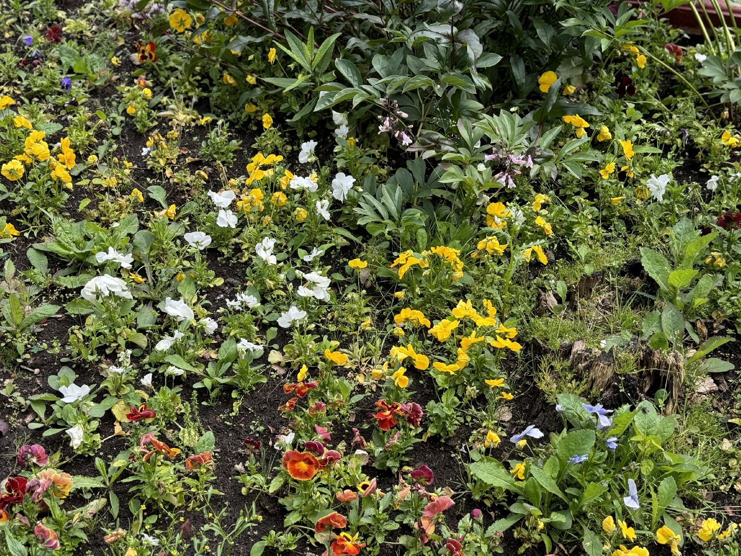 выездная регистрация брака, ленинский городской округ, загс, сквер 45-летия,