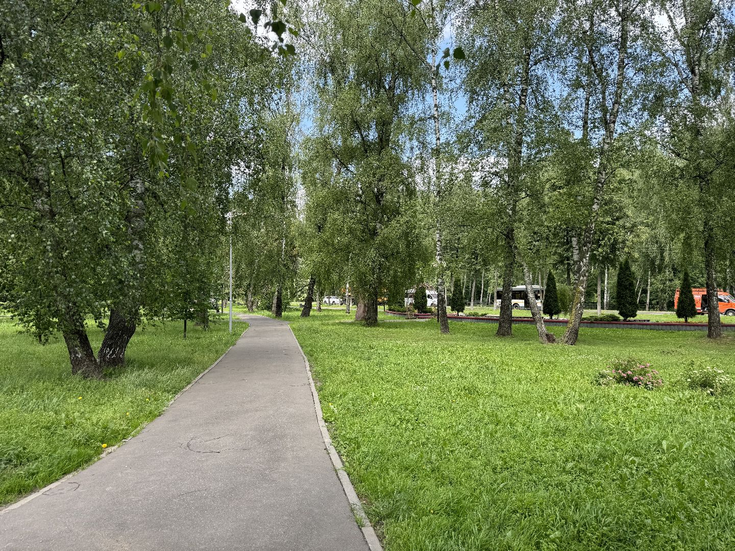 выездная регистрация брака, ленинский городской округ, загс, сквер 45-летия,